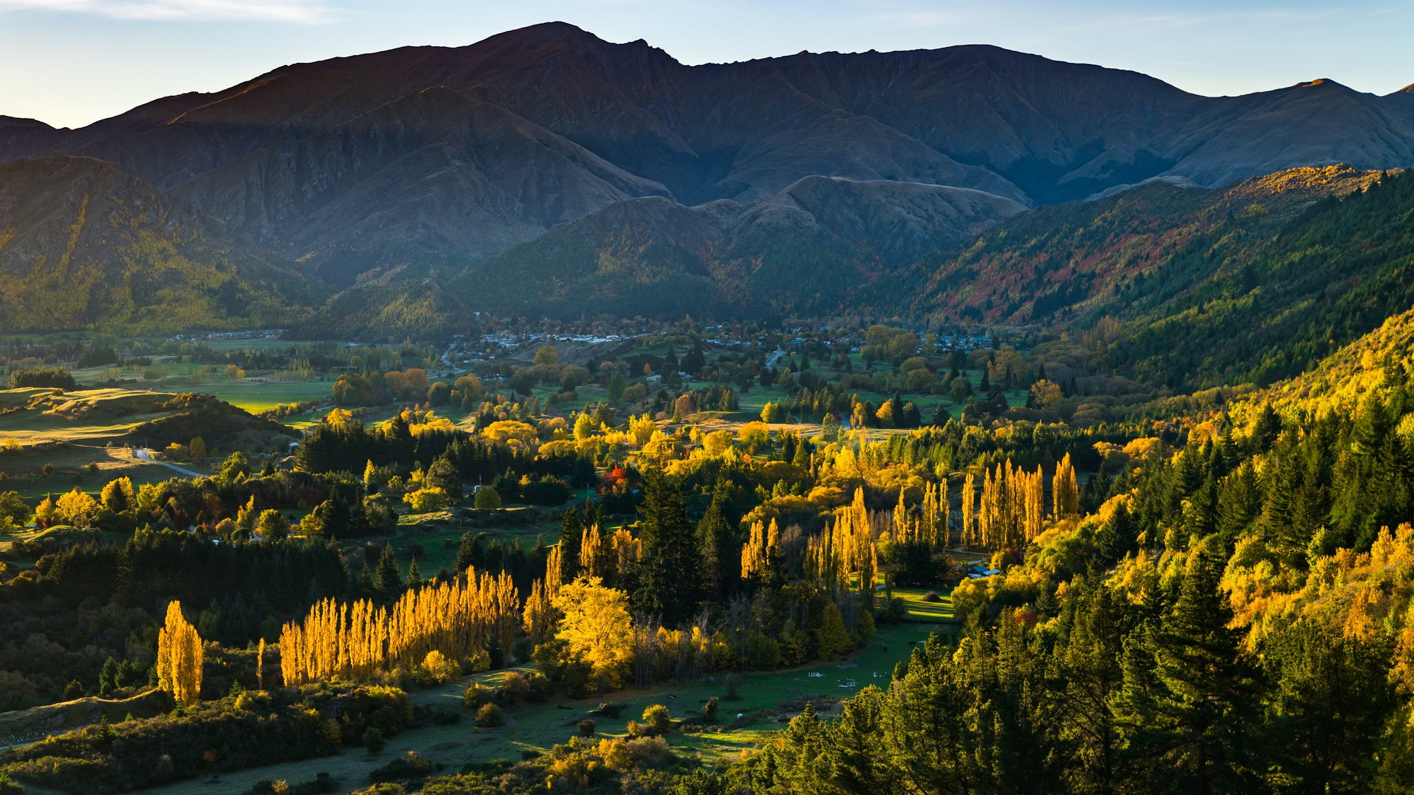 1080P, New Zealand, no people, landscape, tree, mountains, photography, mountain, field, idyllic, afternoon, trees, outdoors, mountain range, nature, tranquil scene, HD Wallpaper