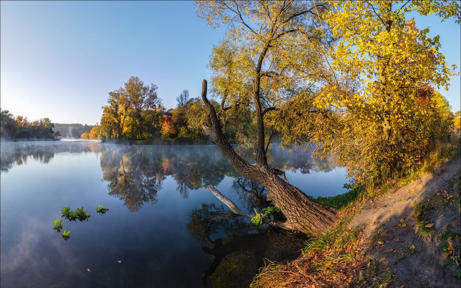 720P, river, nature, landscape, reflection, mist, fall, photography, trees, afternoon, HD Wallpaper