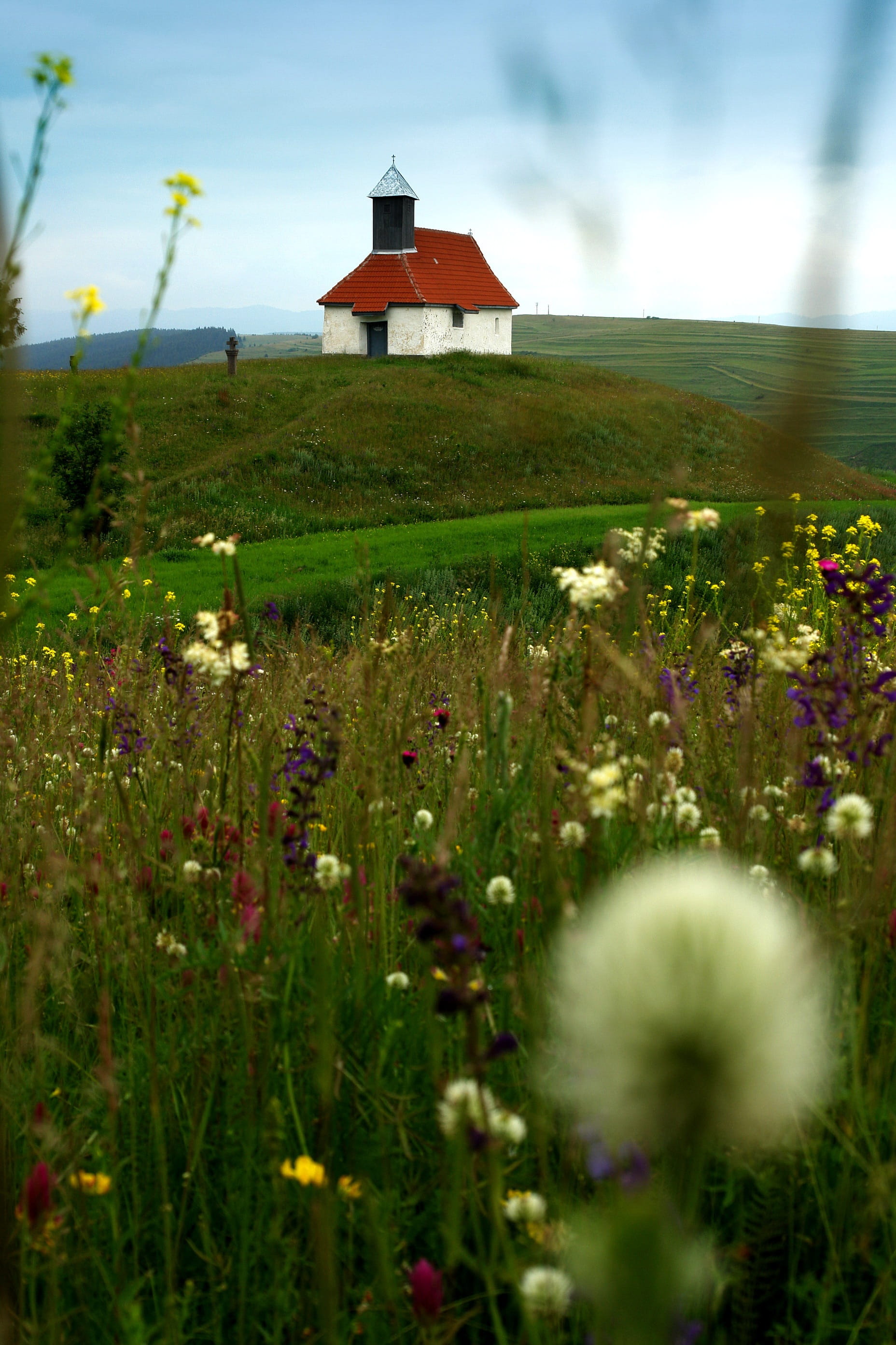 cross, Hill, flowering plant, no People, spiritual, flower, hill, god, freshness, house, Nature, tourism, field, building, dome, building exterior, cathedral, Phone HD Wallpaper