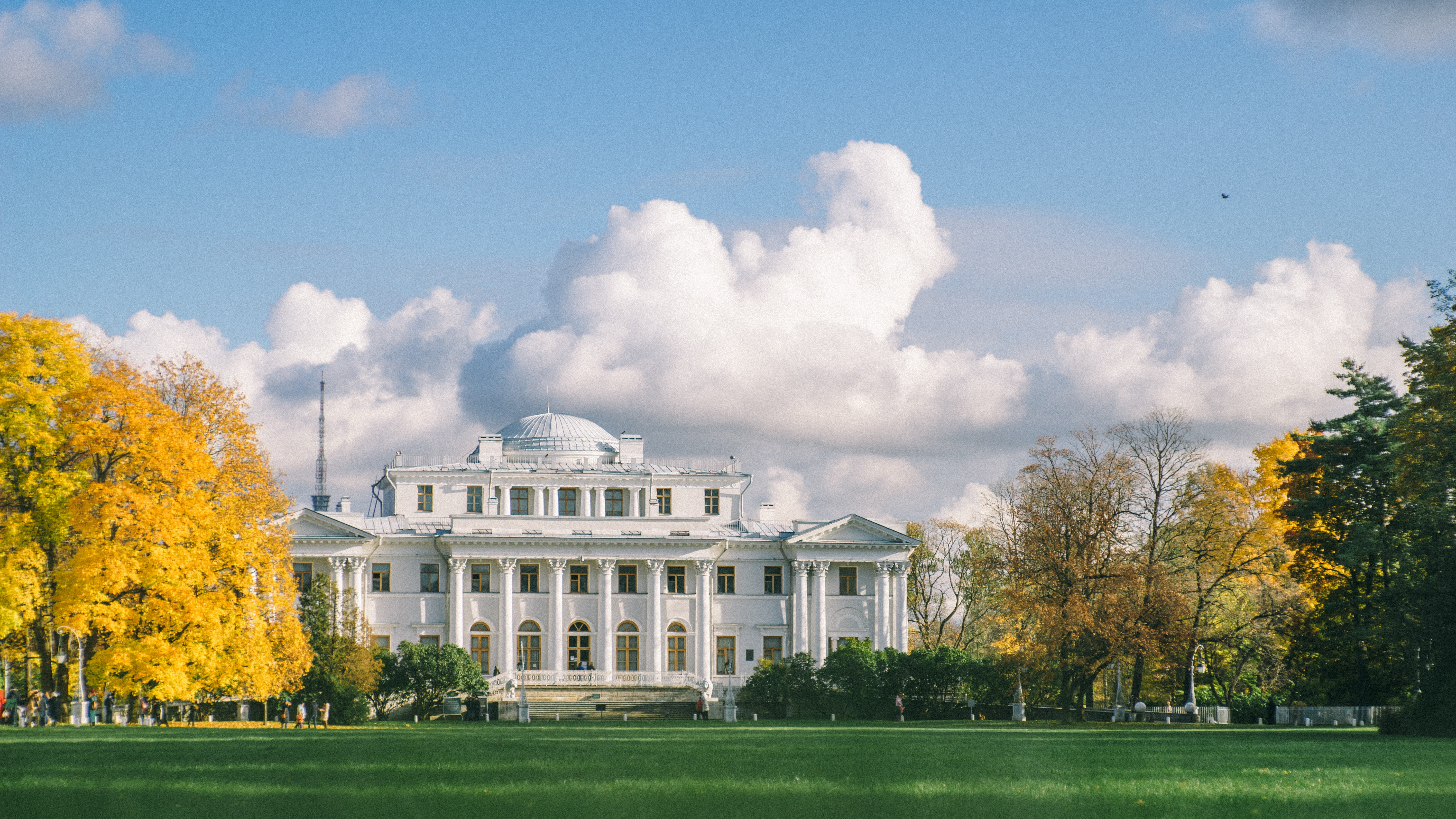lawn, sky, d, travel destinations, government, democracy, house, washington, white, nature, park, no people, plant, cloud, architecture, cloud - sky, politics, HD Wallpaper