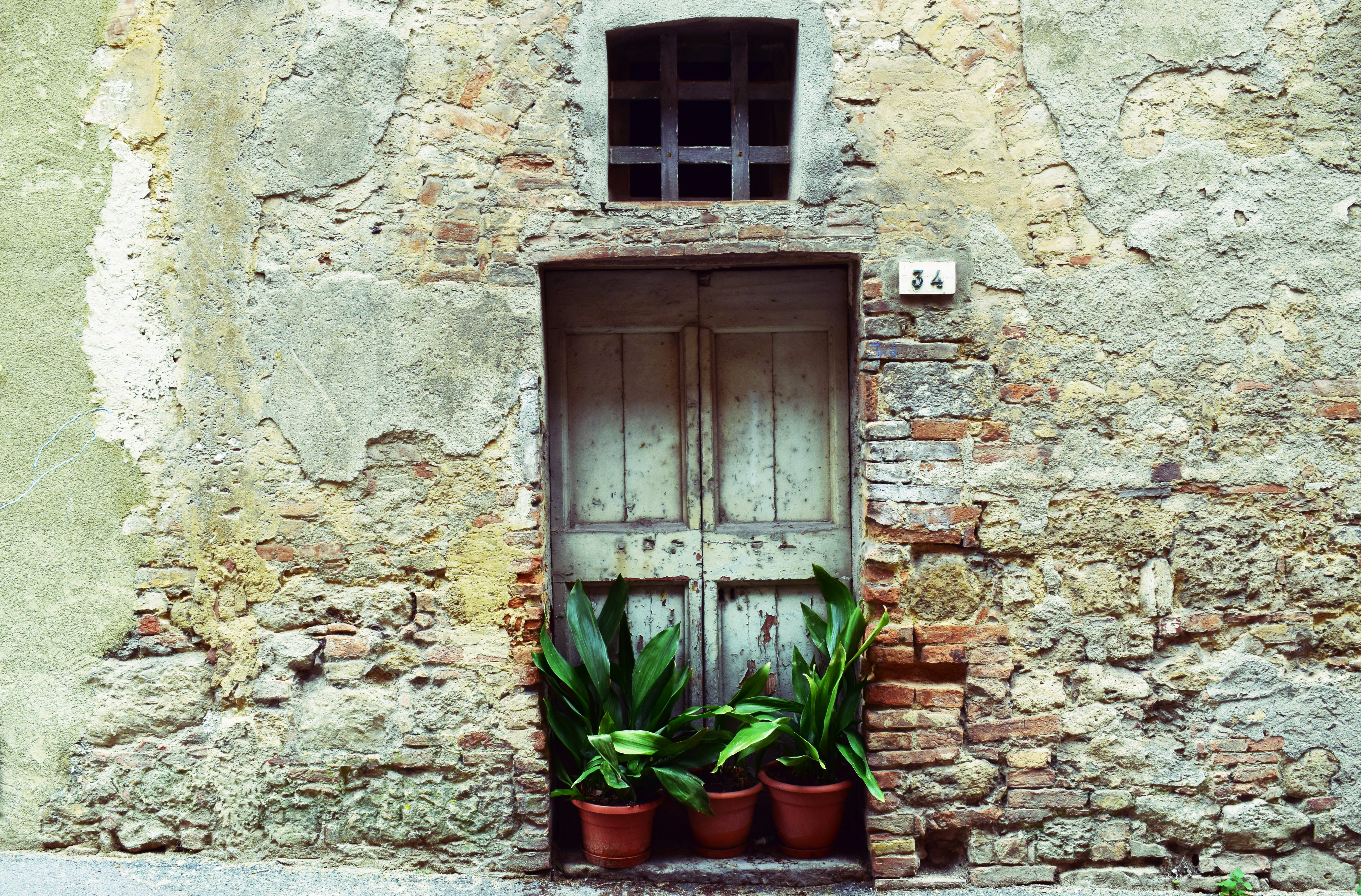 safety, wall, architecture, outdoors, window, day, closed, vintage, house, 5K, plants, green, plant, brown, rough, security, texture, wooden, front, door, HD Wallpaper