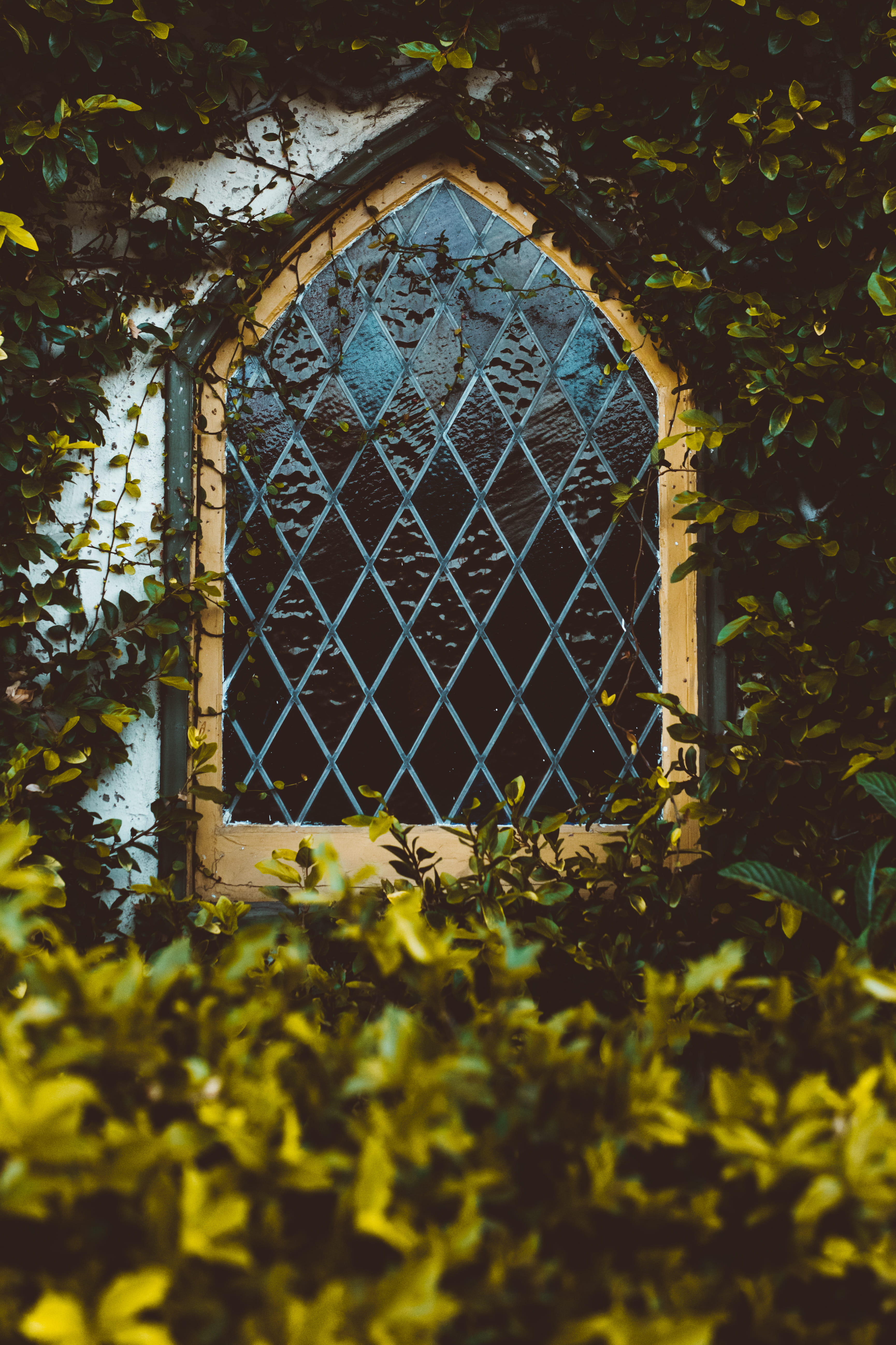window, outdoors, old-fashioned, ivy, nature, weho, tree, cathedral, cultures, stained glass, vintage, 5K, church, built Structure, green, green Color, Phone HD Wallpaper