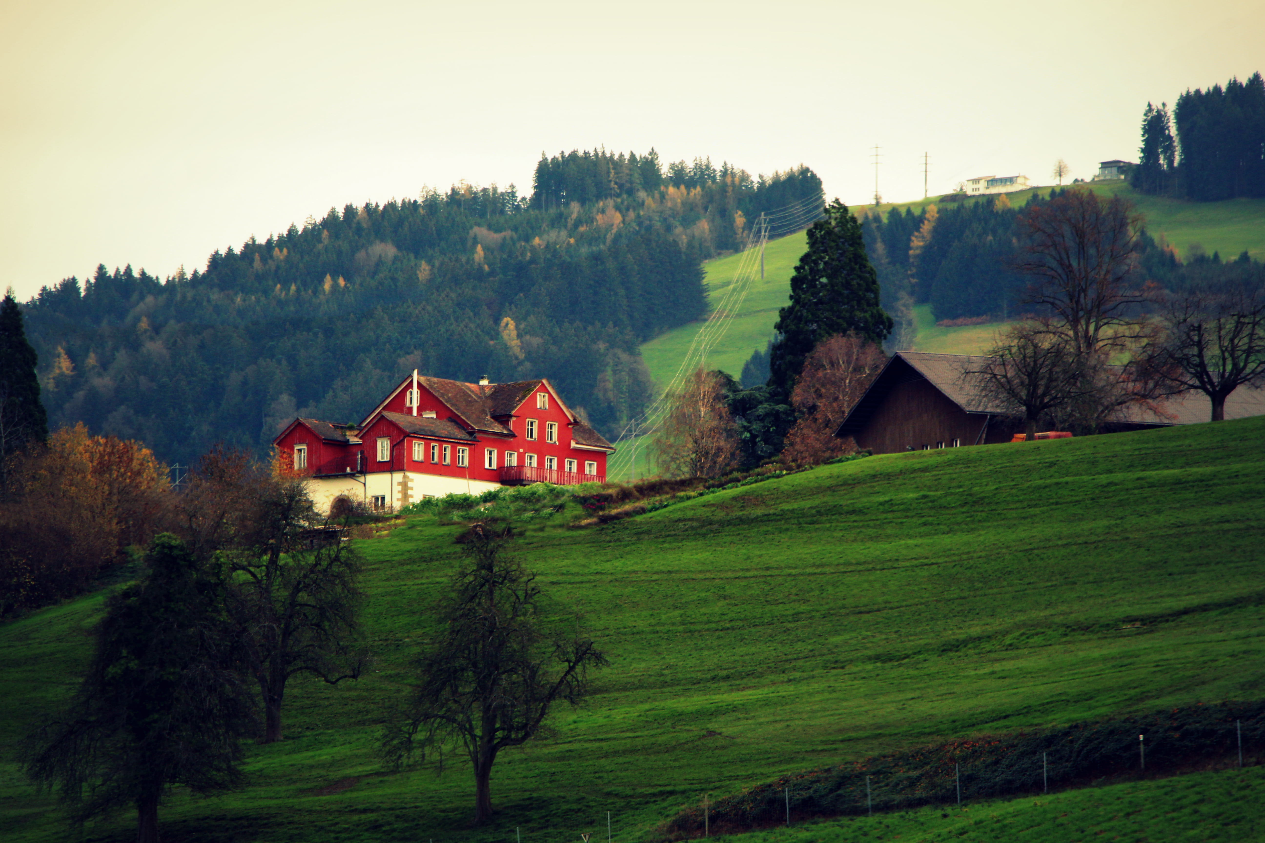 field, chalet, daytime, 5K, house, painted, tranquil scene, white, grass, farmhouse, sky, concrete, building exterior, scenics, land, rural scene, cottage, HD Wallpaper