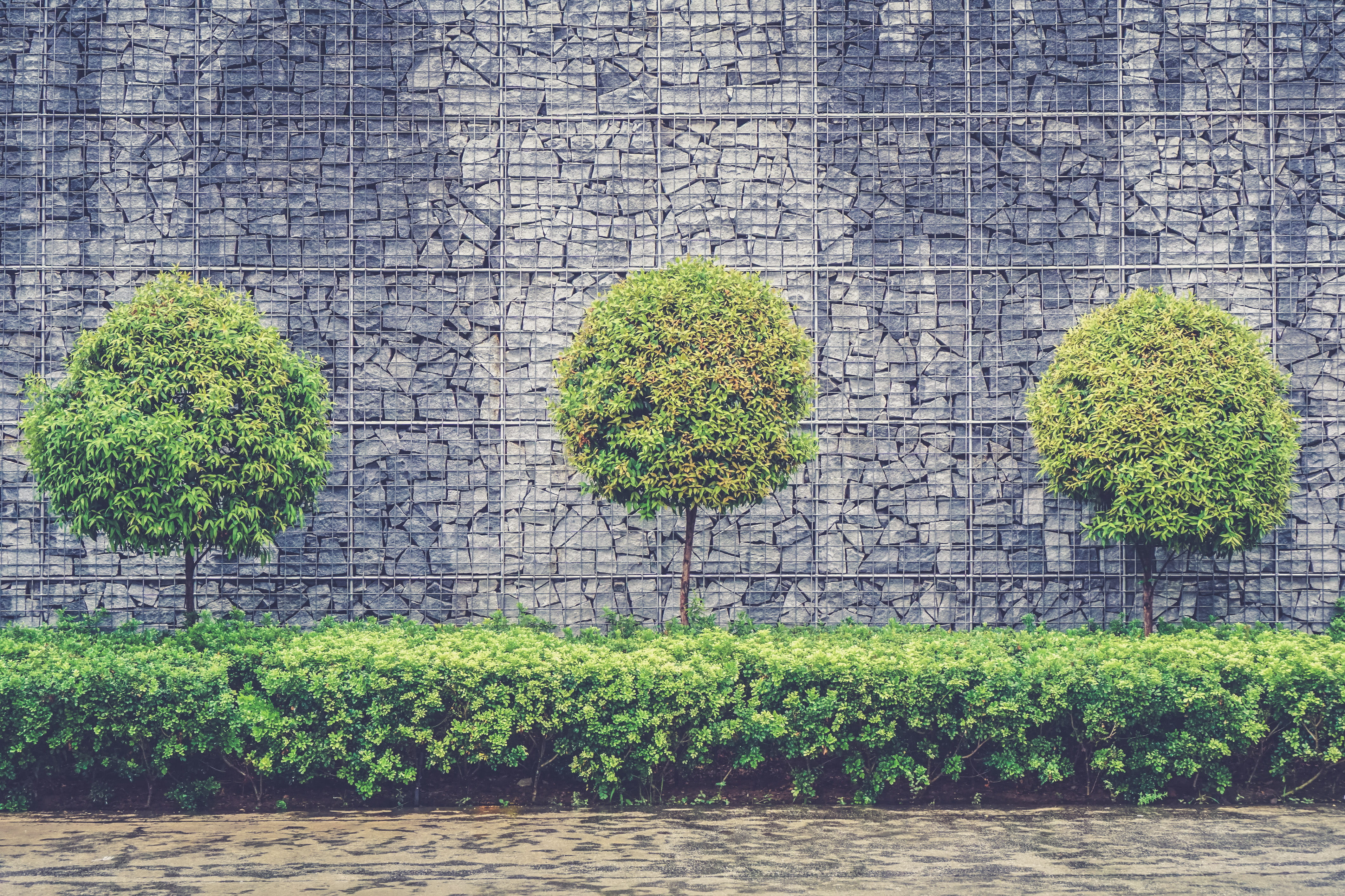 tree, architecture, backgrounds, beauty in nature, building exterior, fence, nature, shrub, growth, plant, stone wall, chain, leafed, stone, leaf, 4K, HD Wallpaper
