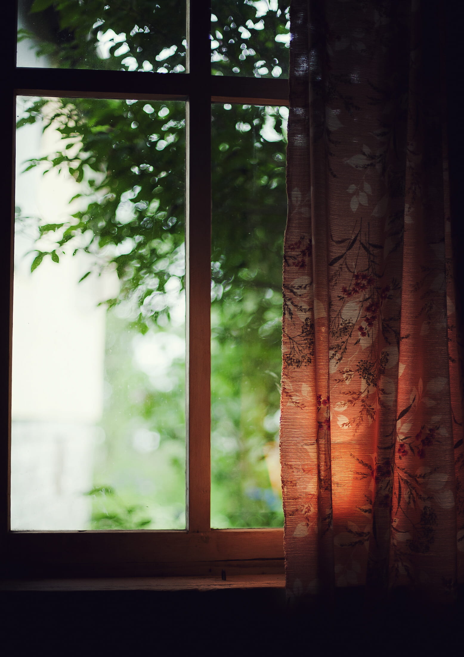 backlight, pane, indoors, forest, floral, low, bokeh, leafed, light, green color, window, deep of field, land, growth, green, trees, pattern, architecture, Phone HD Wallpaper
