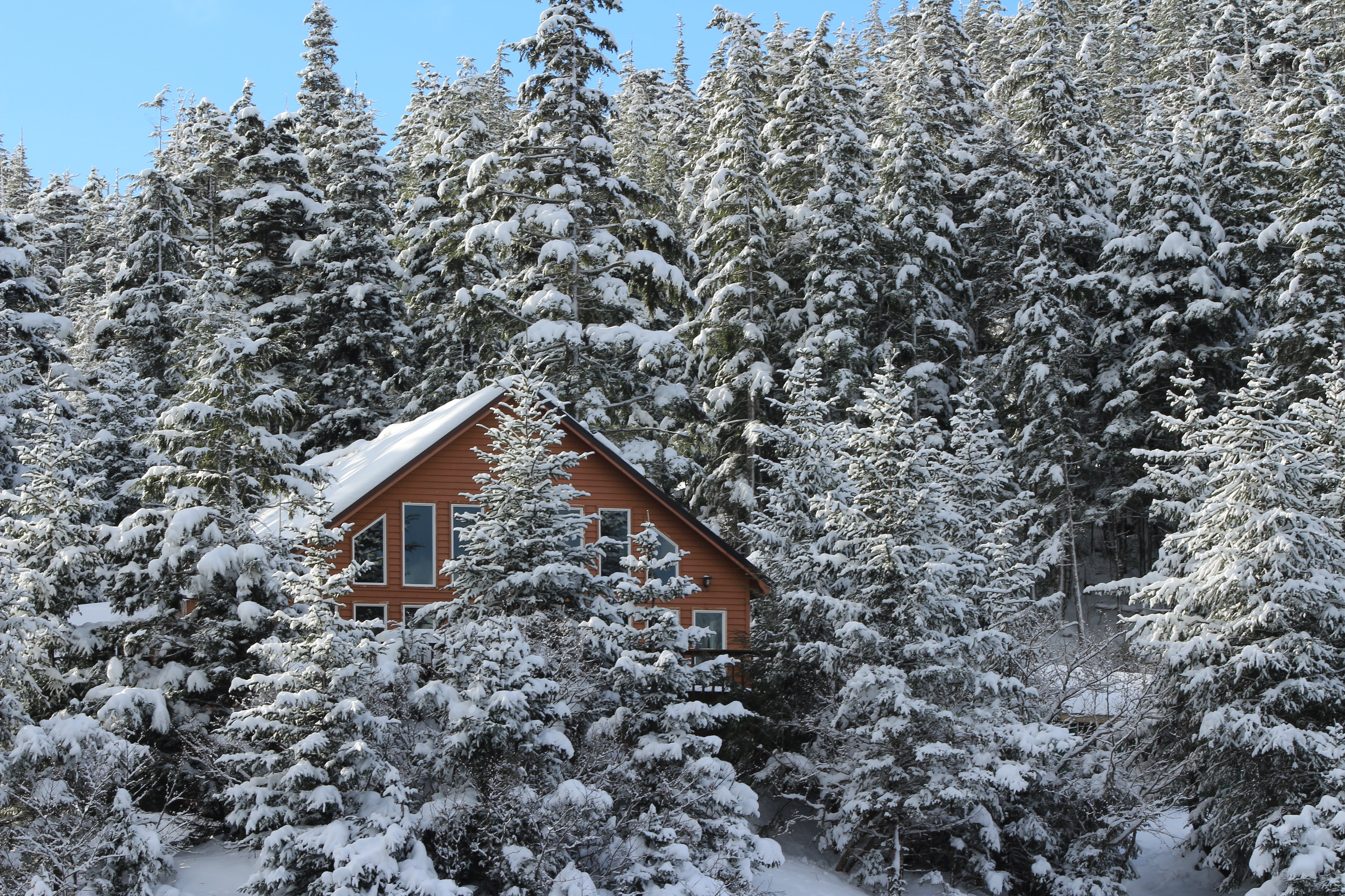 adventure, tree, water, beauty in nature, 5K, snow, day, ocean side, building exterior, winter lodge, weather, winter, white color, forest, architecture, HD Wallpaper