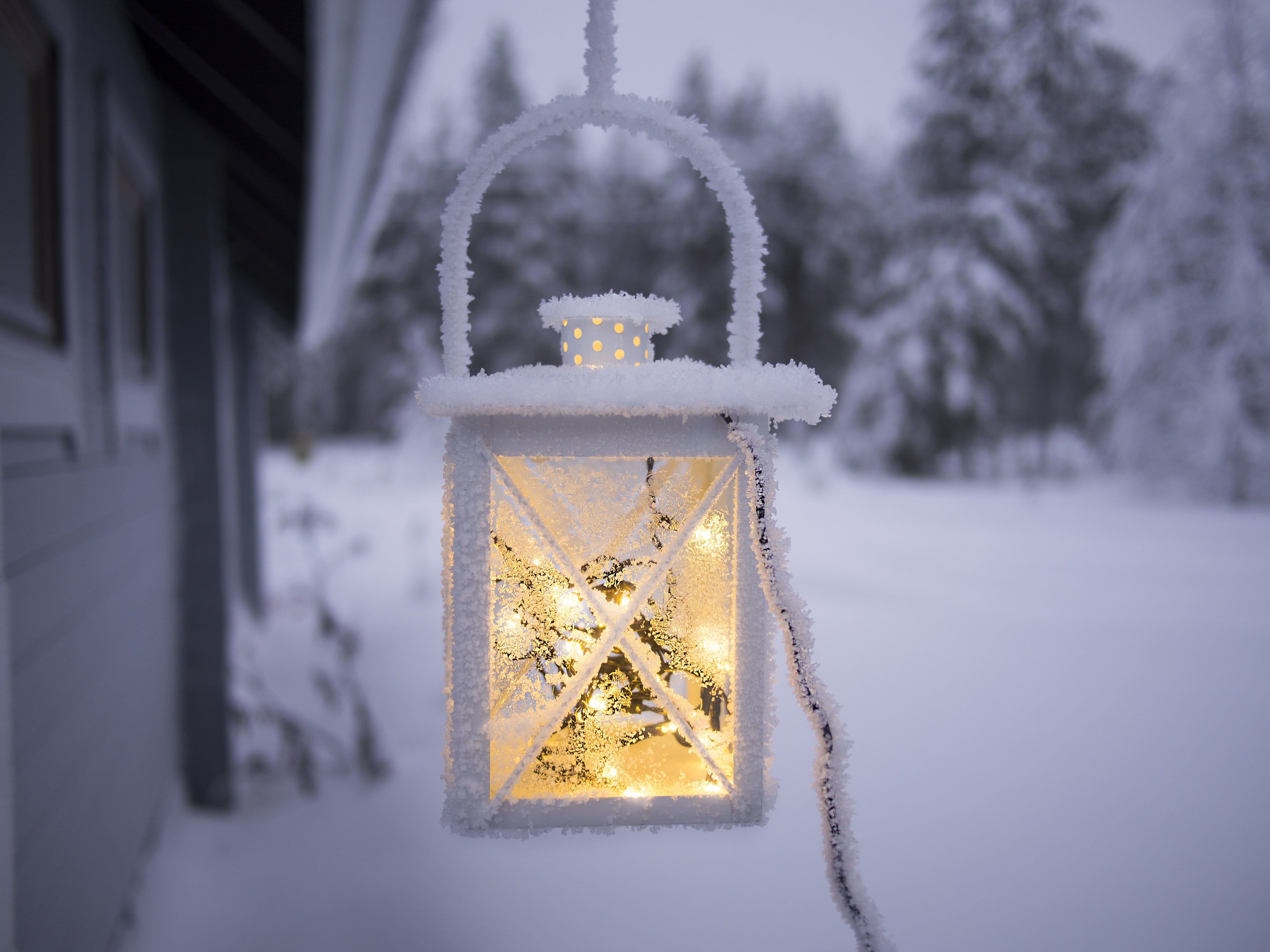 outdoors, christmas ornament, landscape, no people, lamp, icy, focus on foreground, christmas tree, 4K, nature, frozen, illuminated, snow, light, season, HD Wallpaper
