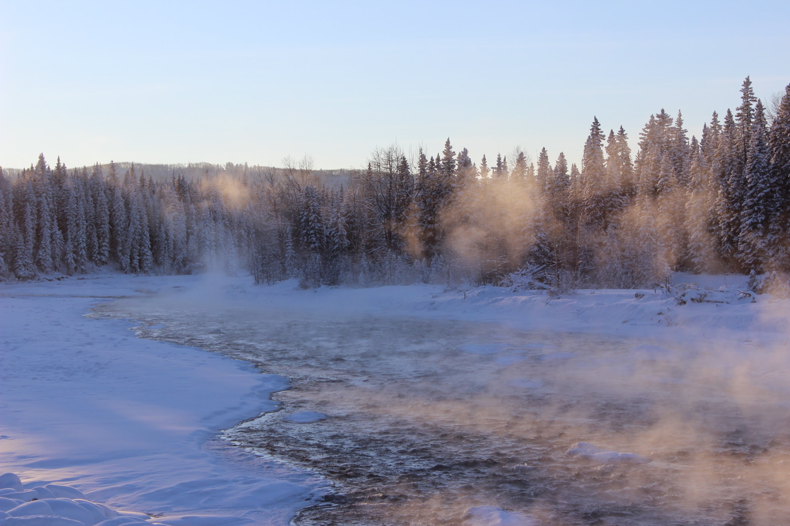 zing, fog, landscape, 2K, frost, coniferous tree, tranquility, no people, land, tree, sky, cold, trees, frozen, scenics, scenics - nature, frozen lake, HD Wallpaper