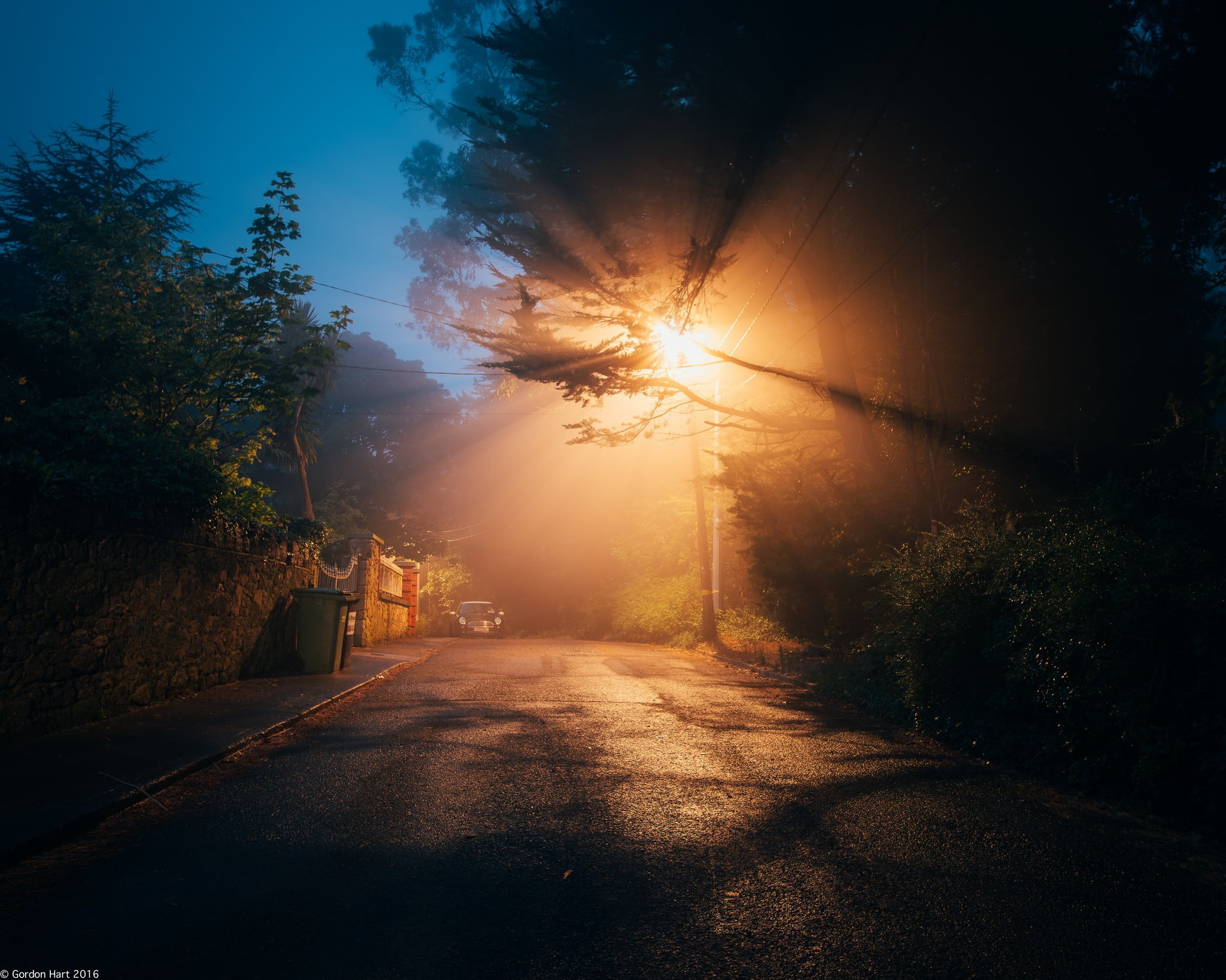 car, tree, night, photography, sunbeam, direction, tranquil scene, lens flare, sunlight, trees, Mini, outdoors, growth, nature, tranquility, sun, street, HD Wallpaper