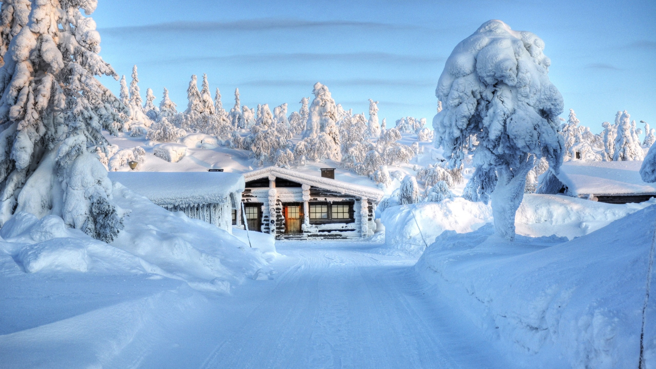 black, nature, winter, wooden, trees, house, cabin, window, 2K, snow, hd, frame, HD Wallpaper