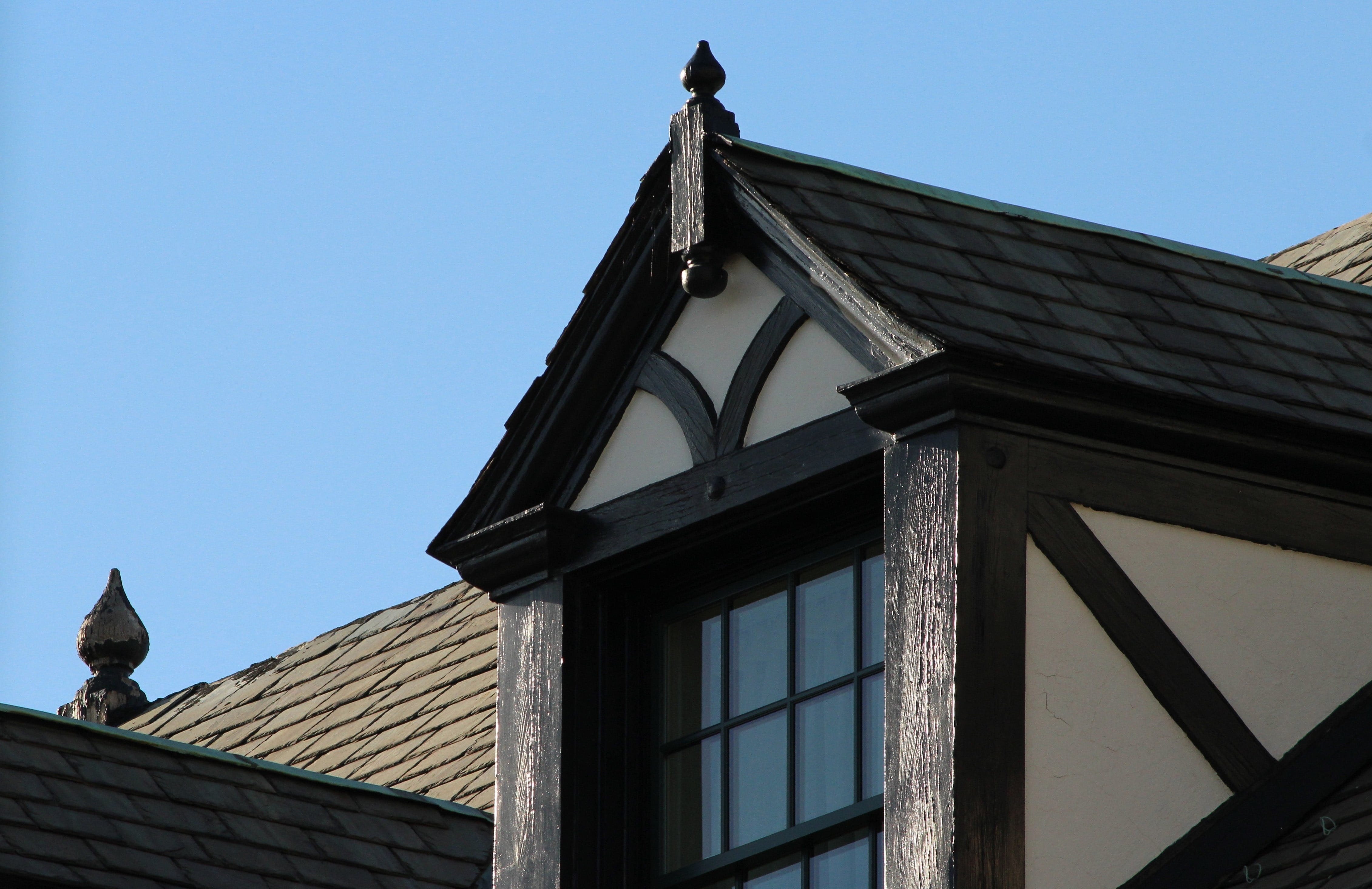bird, tudor style, sky, nature, Roof, roof tile, animal wildlife, wooden, low angle view, sunlight, clear sky, vertebrate, sloping roof, animal, building, HD Wallpaper