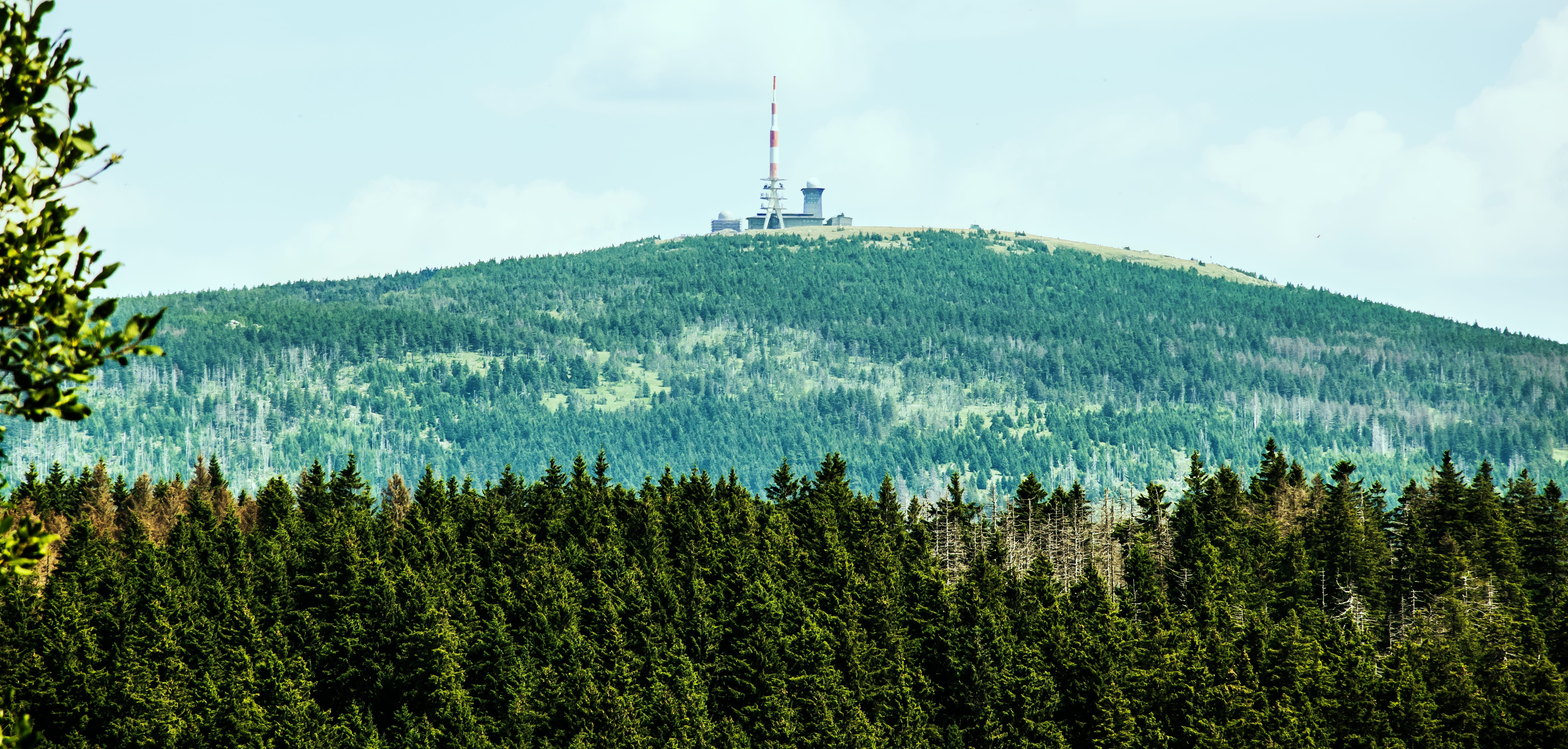 guidance, brocken view, scenics - nature, beauty in nature, plant, day, cloud - sky, outdoors, national park, pine tree, high position, resin, nature, hiking, HD Wallpaper