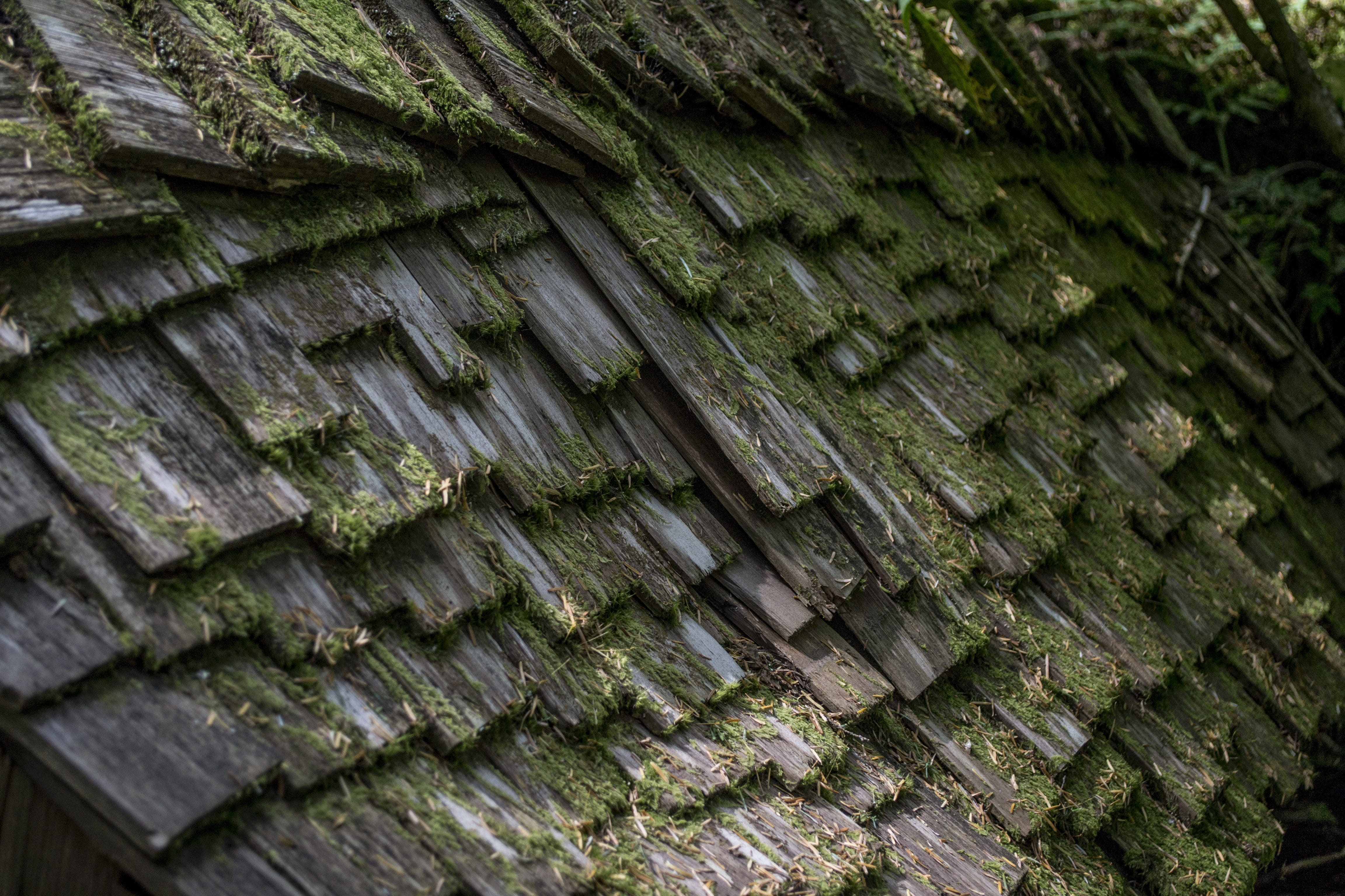textured, texture, carpenter, outdoors, frame, roof, residential, green color, wooden, Layered, Wood, roofing, nail, wood, architecture, enchanted, full frame, HD Wallpaper
