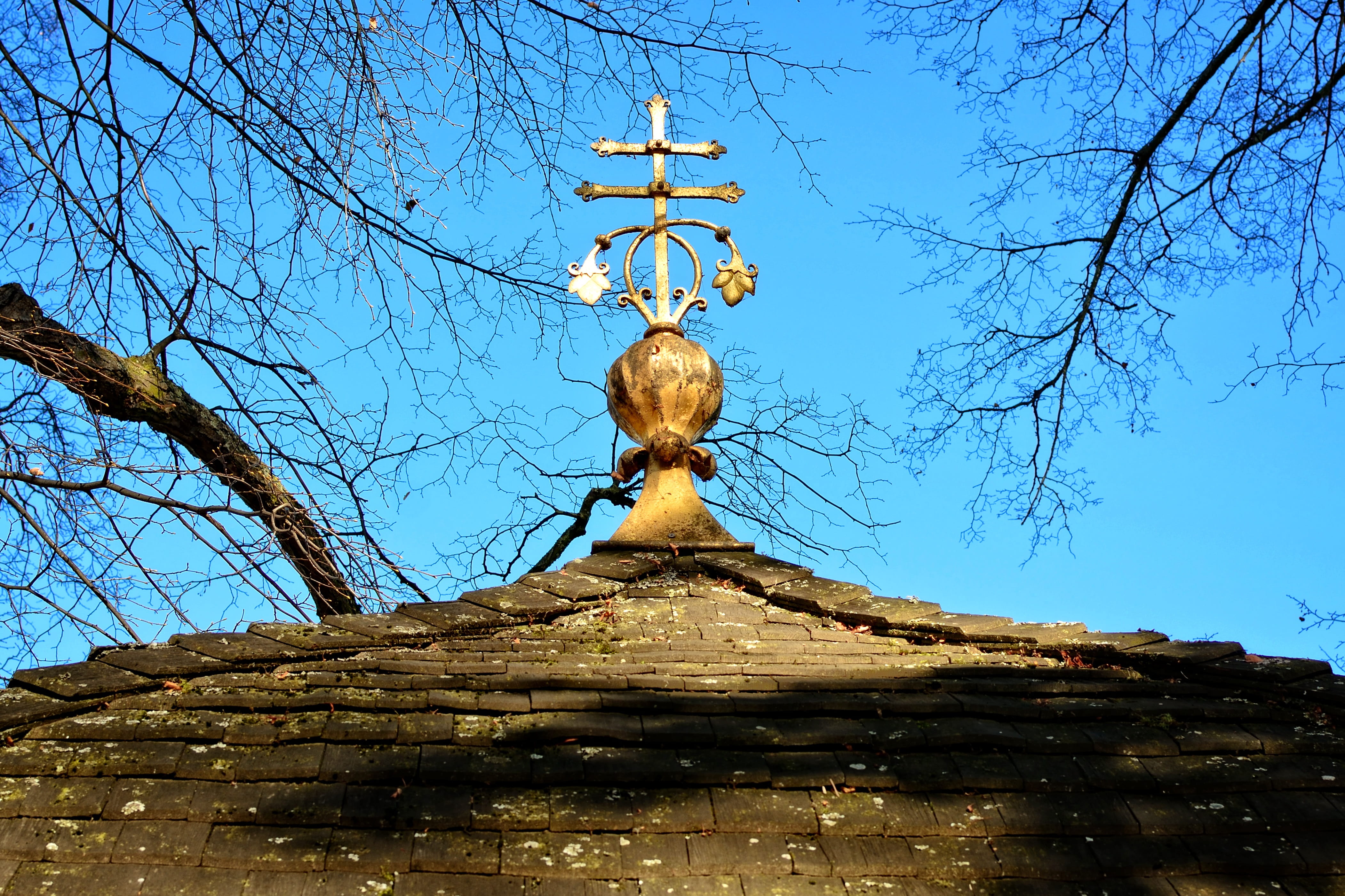 day, outdoors, bare tree, spire, branch, building exterior, plant, 4K, belief, low angle view, god, tree, no people, place of worship, spirituality, faith, HD Wallpaper