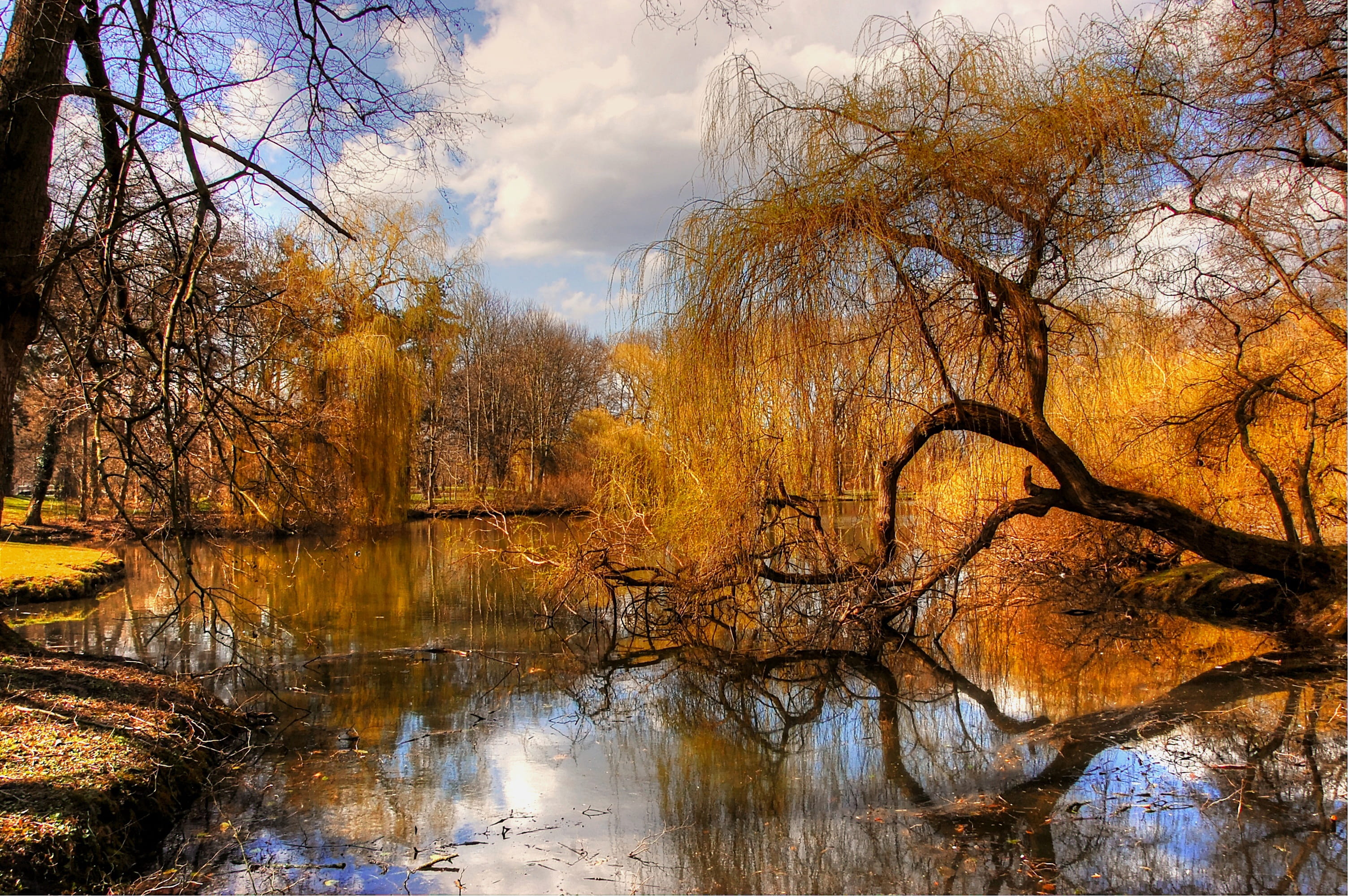 lower saxony, beauty in nature, view, non-urban scene, tranquility, leaves, landscape, bank, water, no people, outdoors, spring, forest, scenics - nature, HD Wallpaper
