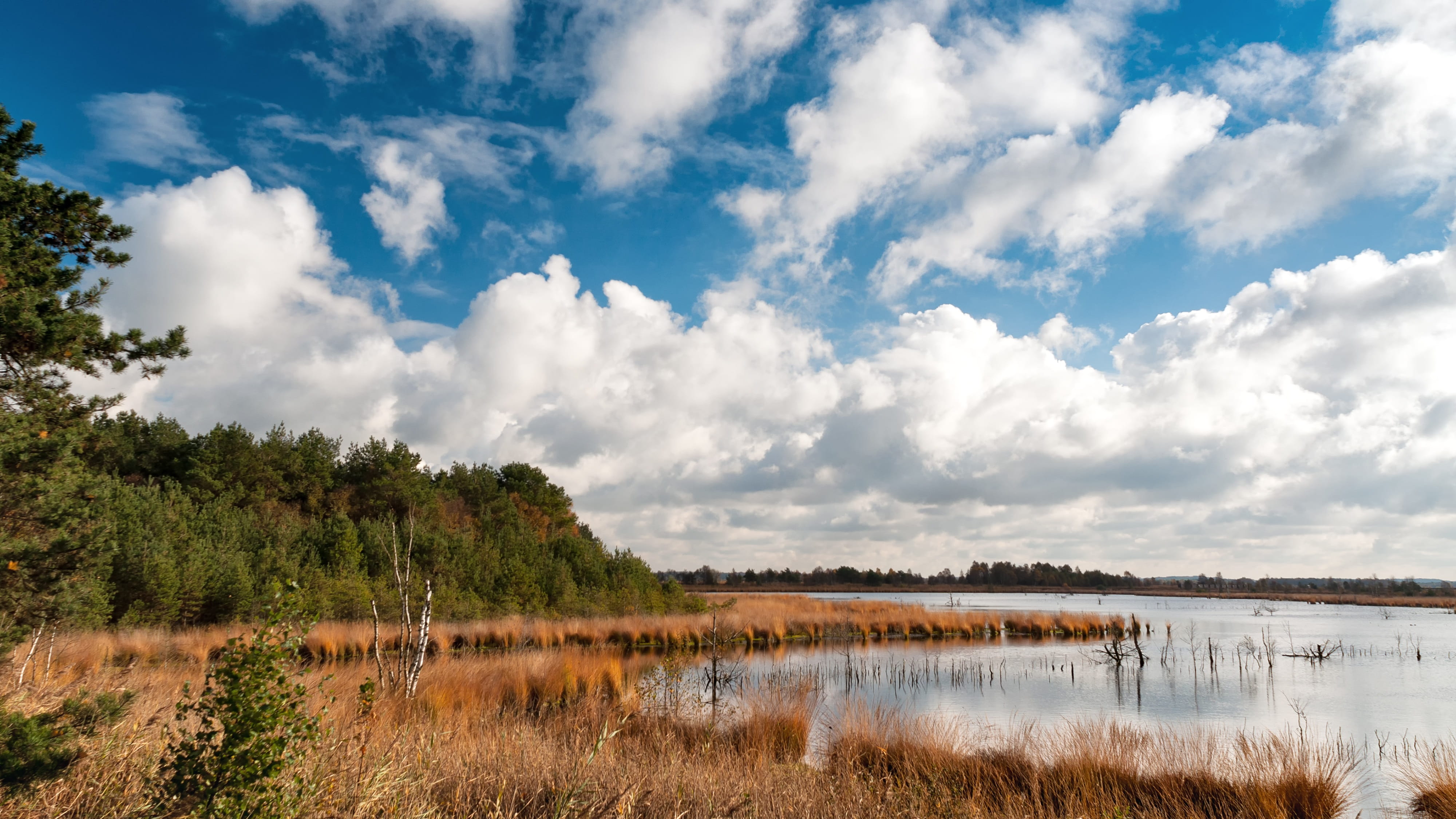 tree, no people, Germany, 4K, Teufelsmoor, nature, scenics - nature, grass, north, tranquil scene, outdoors, Water, cloud - sky, beauty in nature, plant, HD Wallpaper