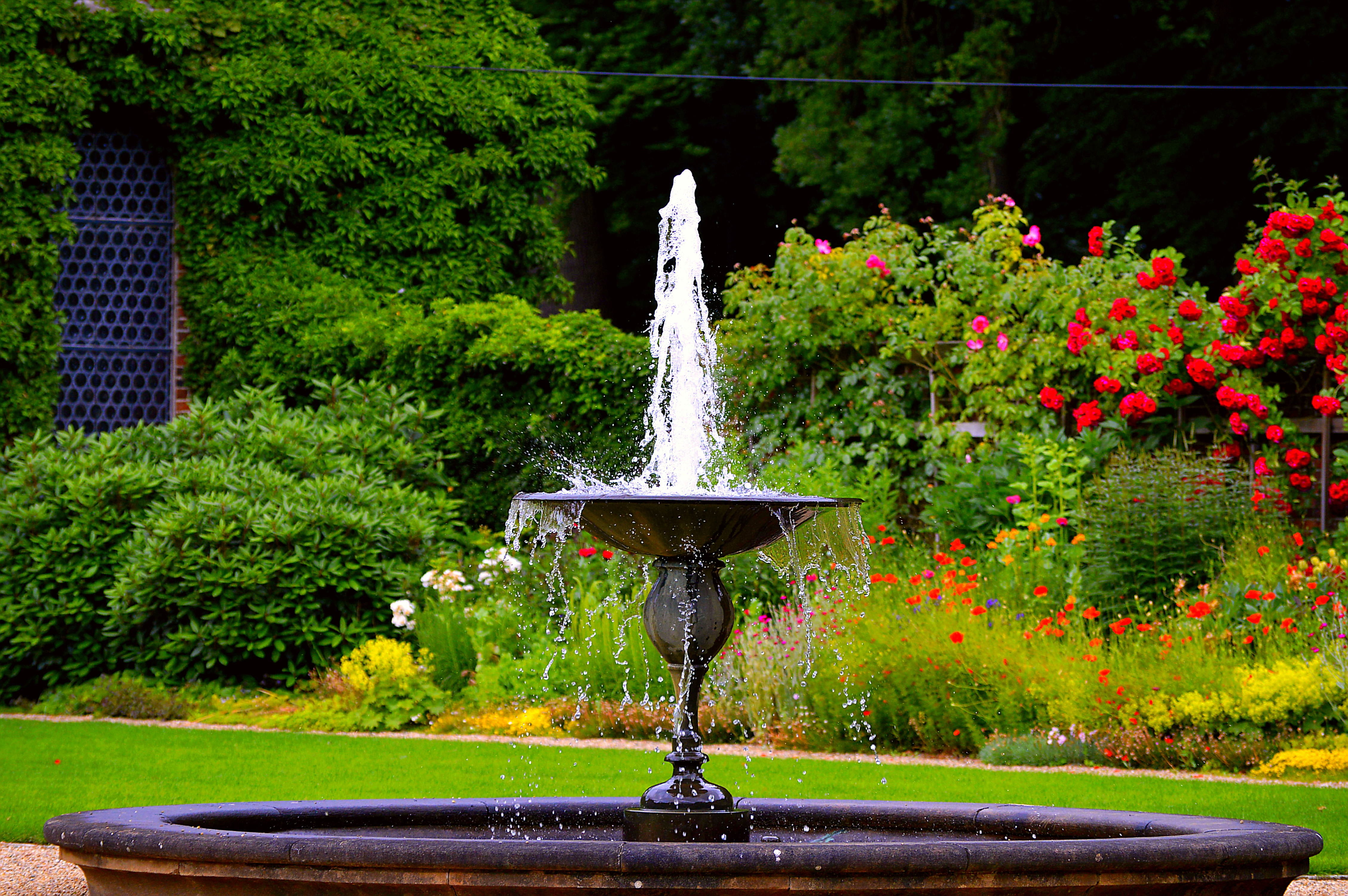 flowing water, bubble, 4K, splashing, wet, motion, moist, spring, water fountain, green color, architecture, green, water, ornamental garden, spraying, HD Wallpaper