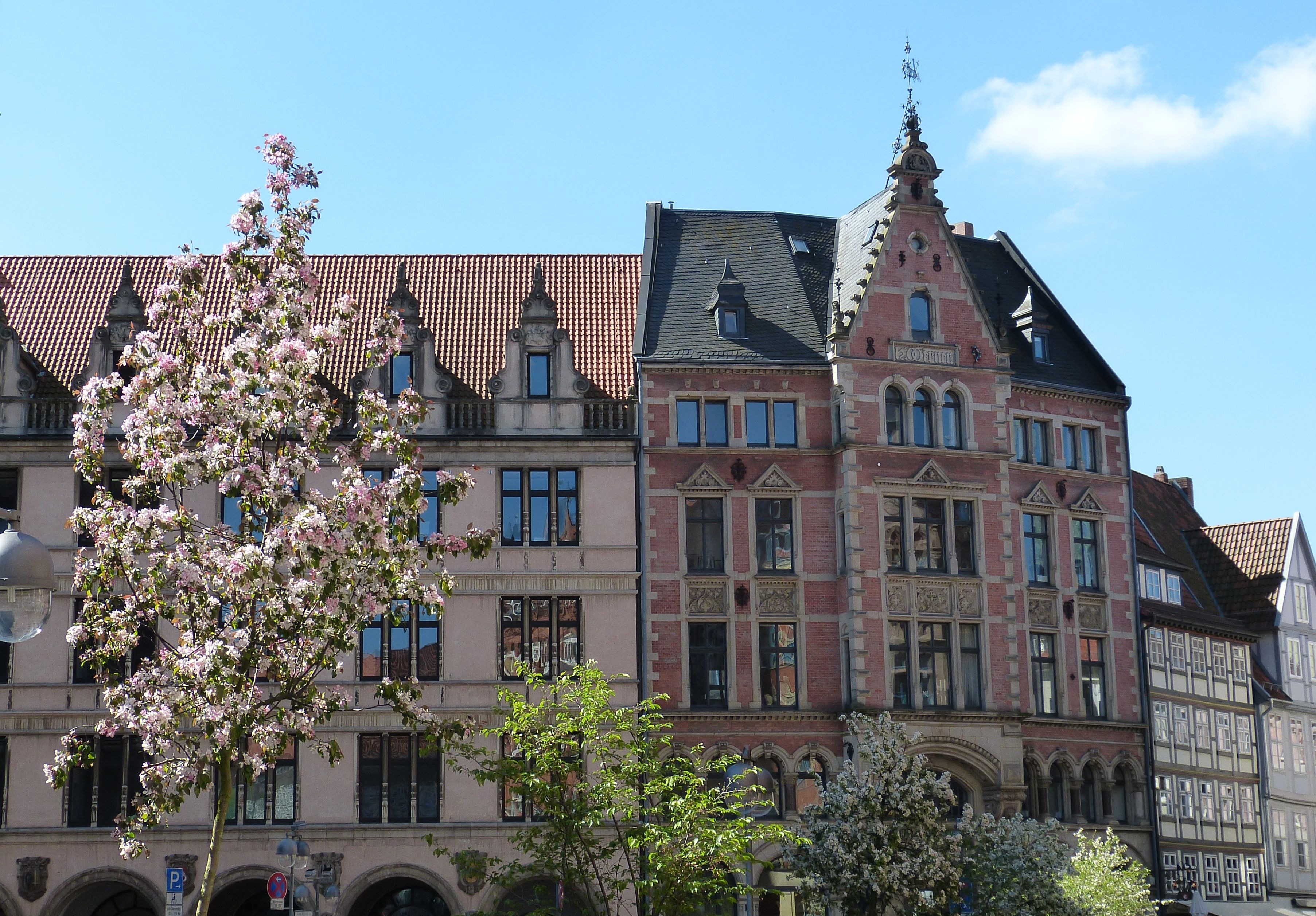 architecture, europe, growth, outdoors, town, 2K, low angle view, nature, lower saxony, flower, flowering plant, facade, plant, no people, history, built structure, HD Wallpaper