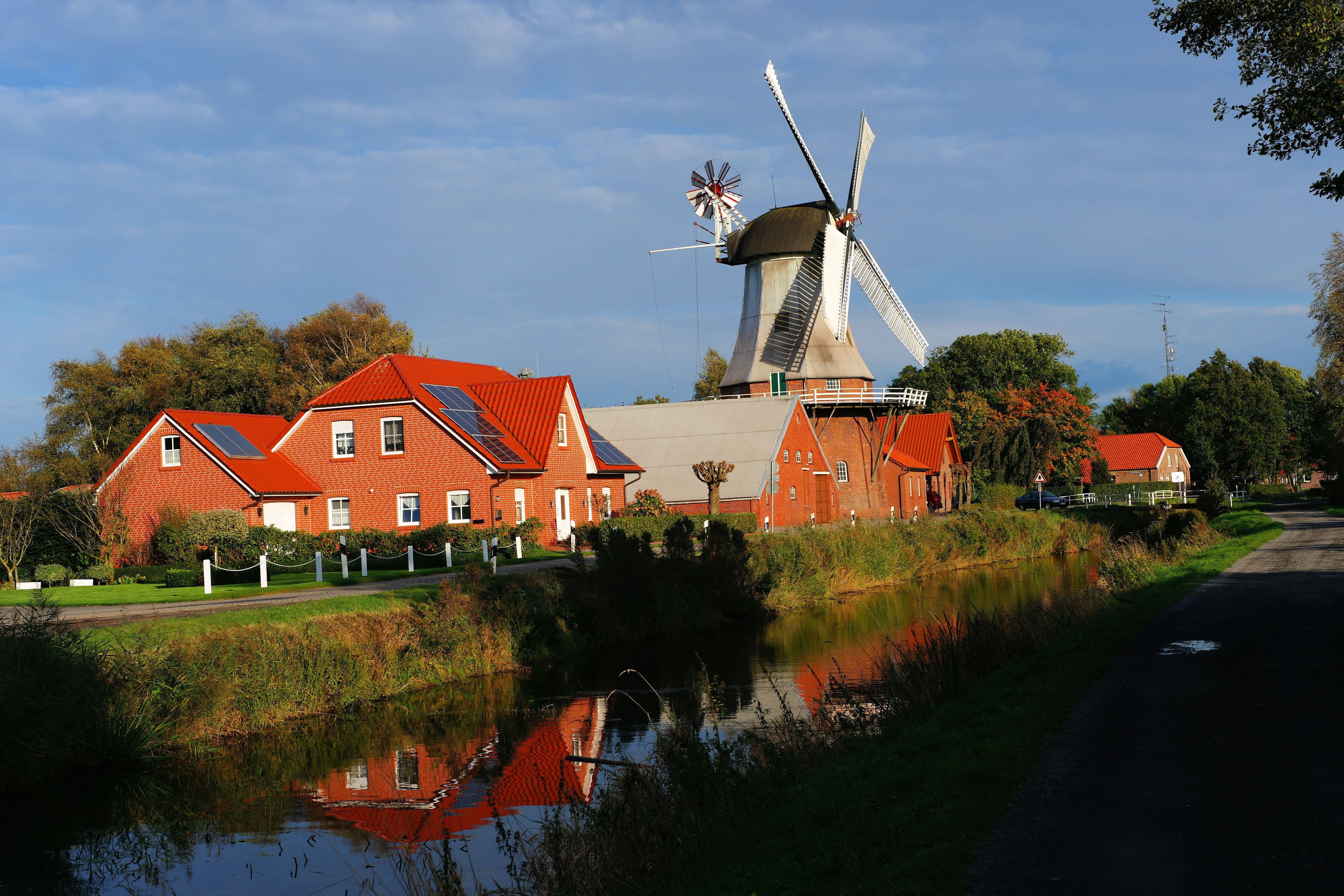 wind turbine, turn, wieke, renewable energy, tree, water, traditional windmill, outdoors, netherlands, grind, historic preservation, mill, architecture, HD Wallpaper