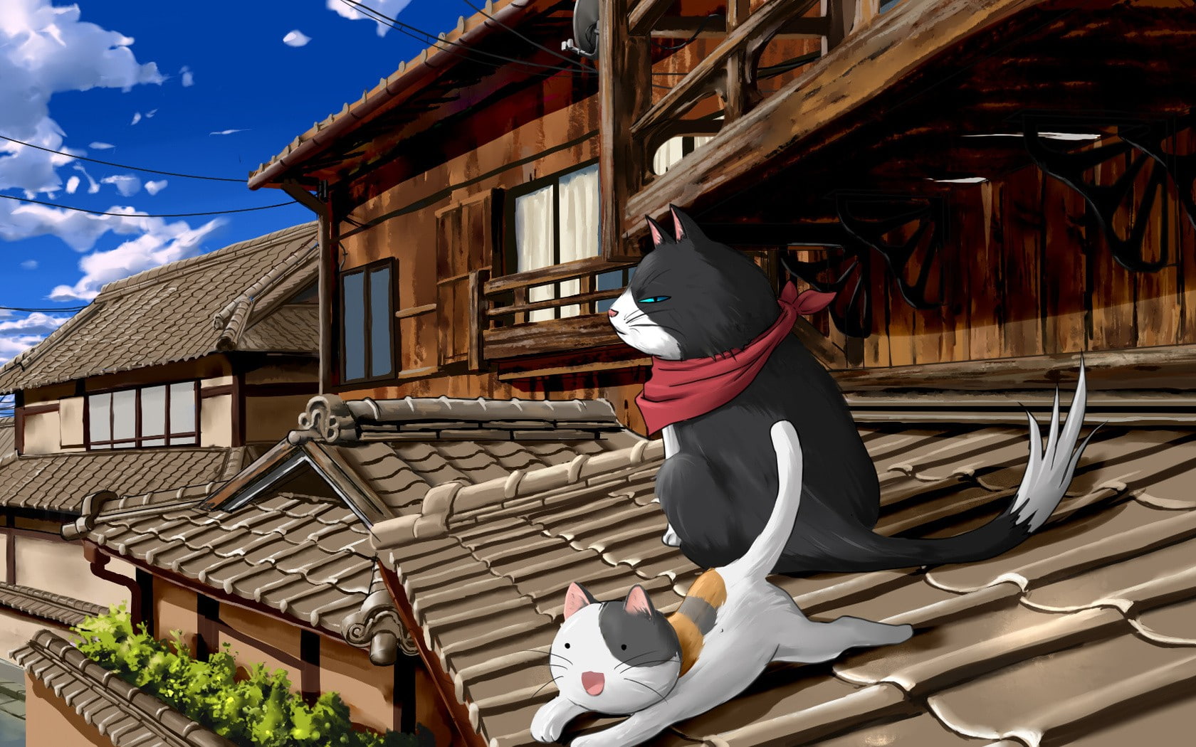 built structure, outdoors, cloud - sky, building, sunlight, real people, house, architecture, 720P, residential district, cat, sky, clothing, nature, nyamsas, HD Wallpaper