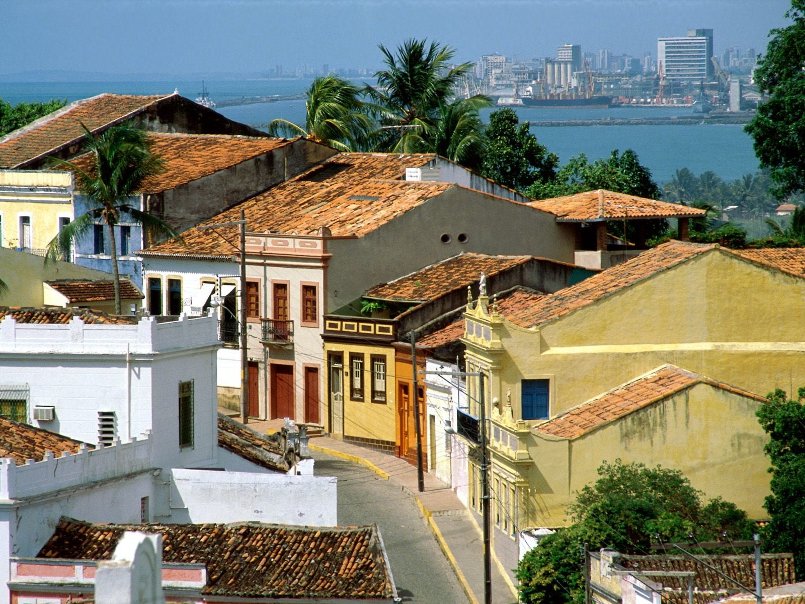 city, brown, architecture, high angle view, concrete, tropical, outdoors, roof, tree, townscape, 720P, no people, Brasil, house, day, building exterior, HD Wallpaper