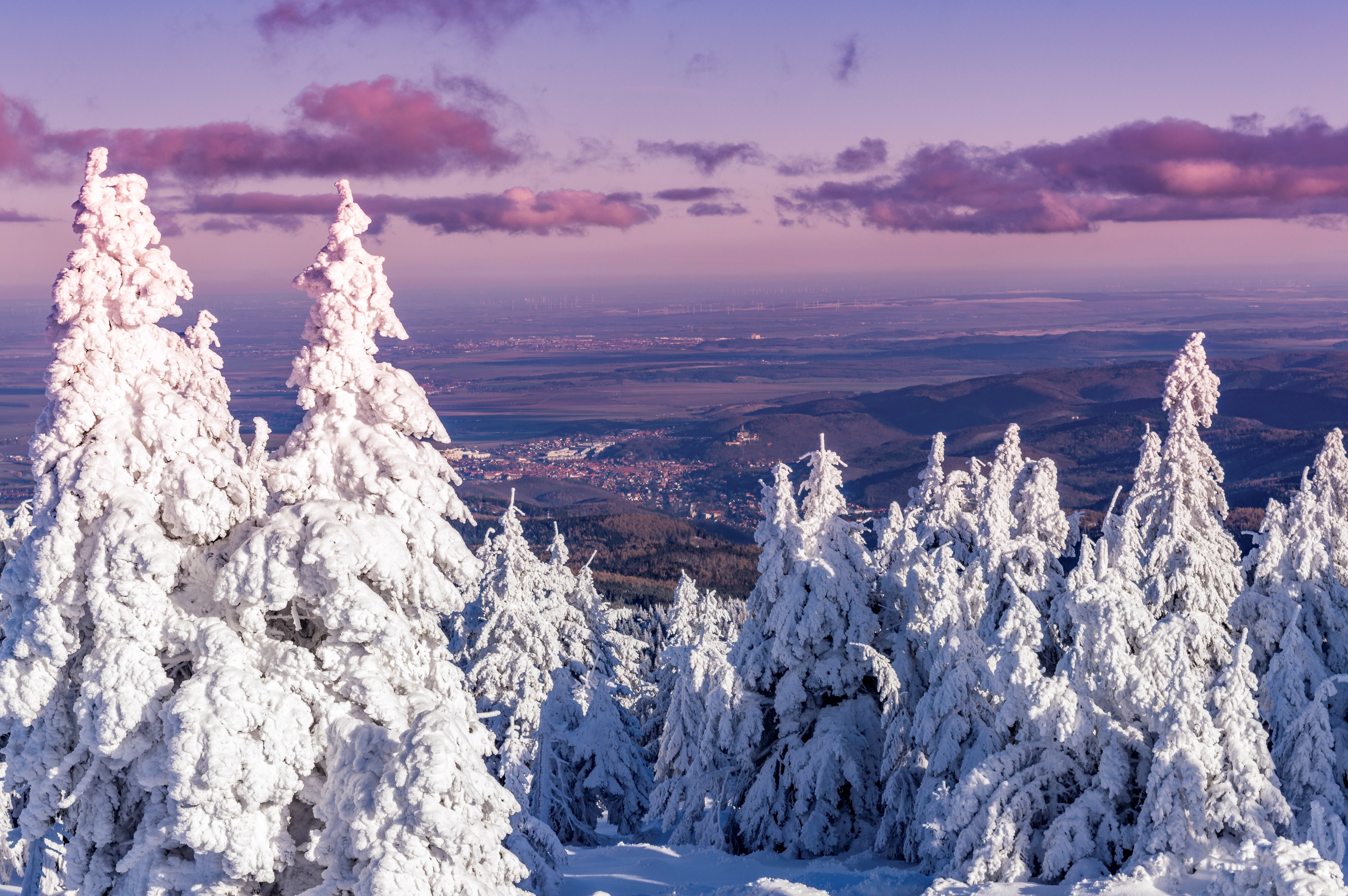 ice, outlook, mountain, sky, destination, landscape, wernigerode, snowy, cloud - sky, purple, pine, holiday, cold temperature, idyllic, nature, sunset, HD Wallpaper