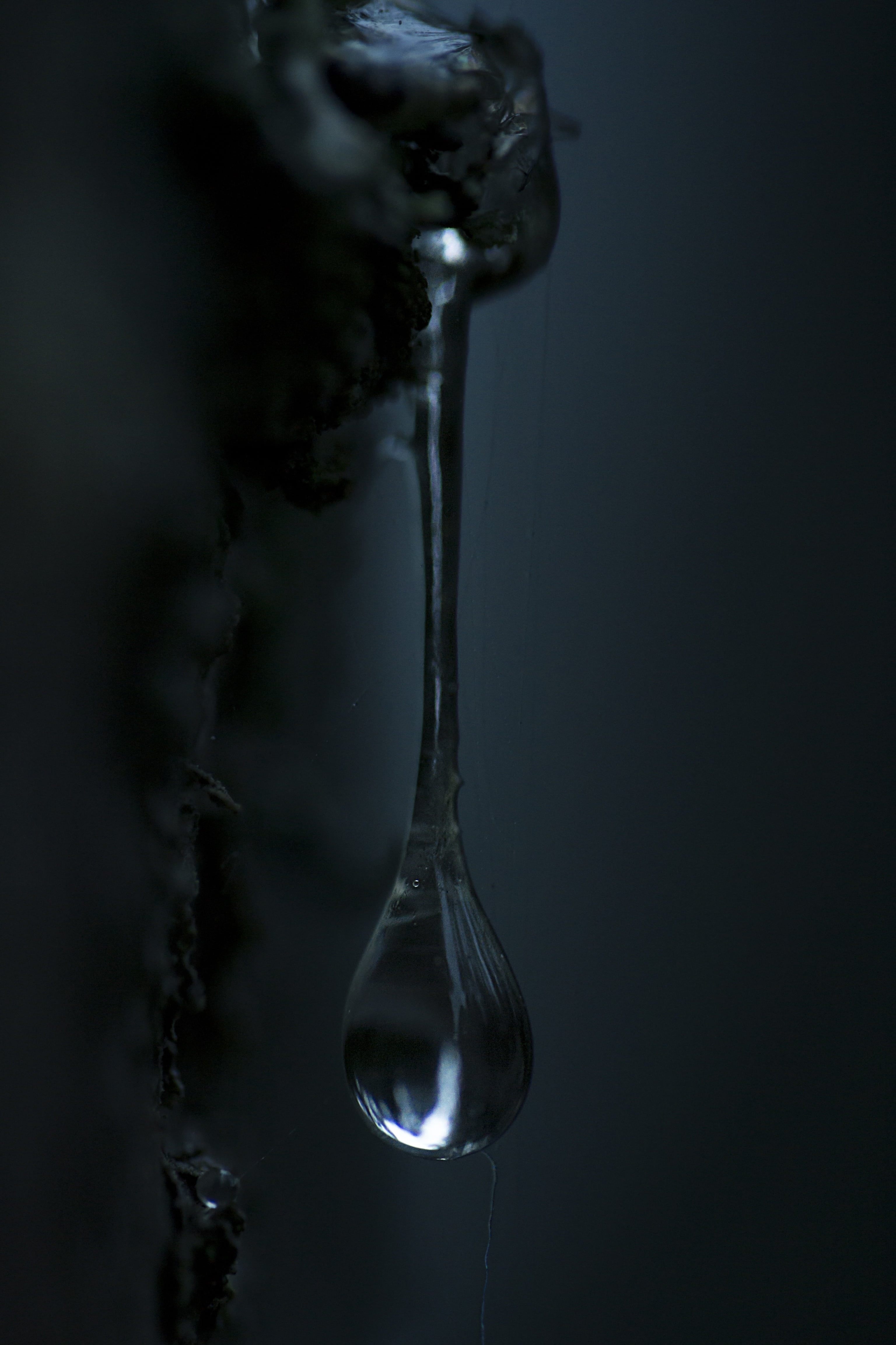 resin, fragility, secretion, six, dark, smoke - physical structure, glass - material, food and drink, kitchen utensil, close-up, nature, 4K, tree, purity, Phone HD Wallpaper