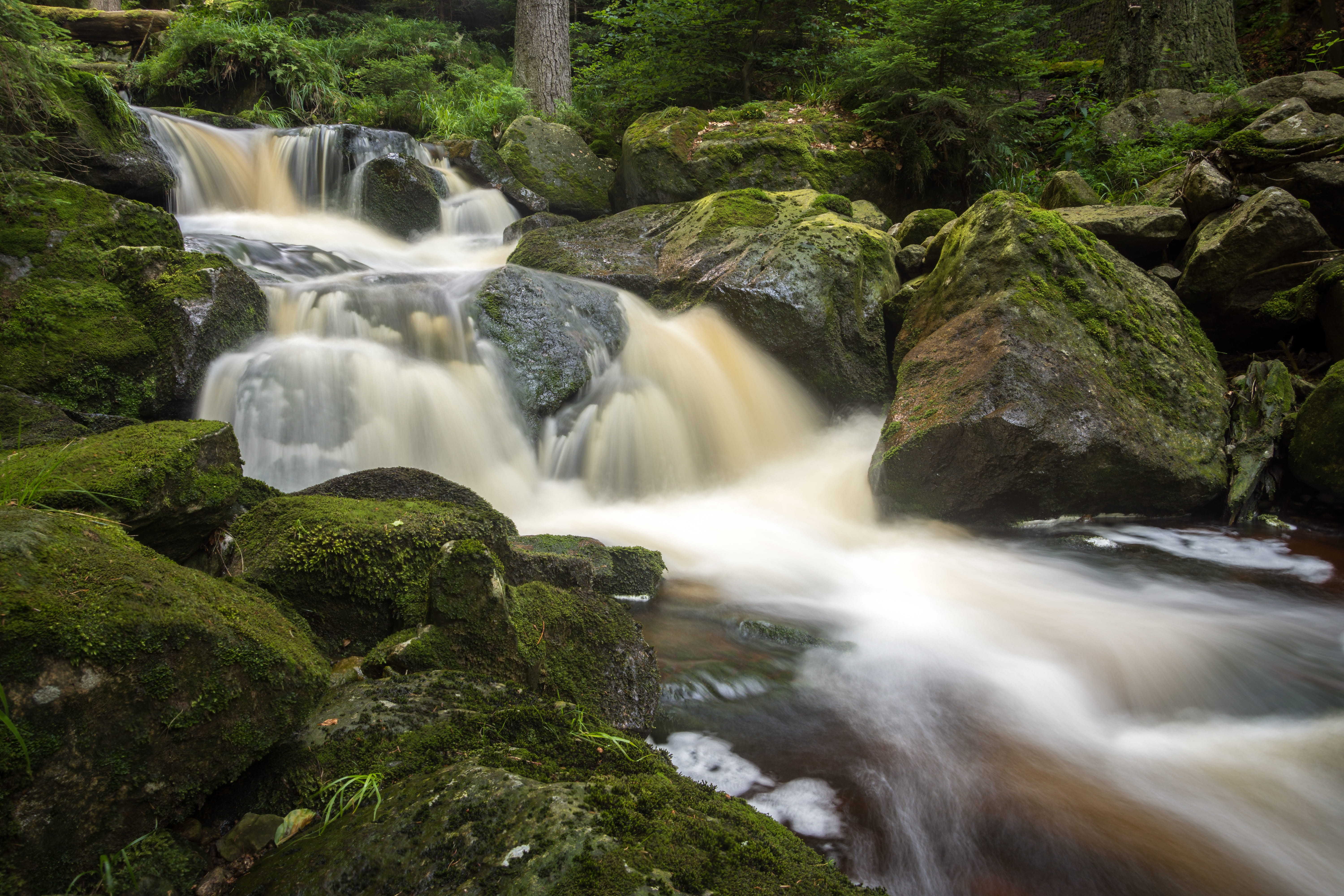 rocks, murmur, environment, waterfall, solid, plant, stream - flowing water, stream, beauty in nature, waters, flowing water, tree, photo, blurred motion, HD Wallpaper