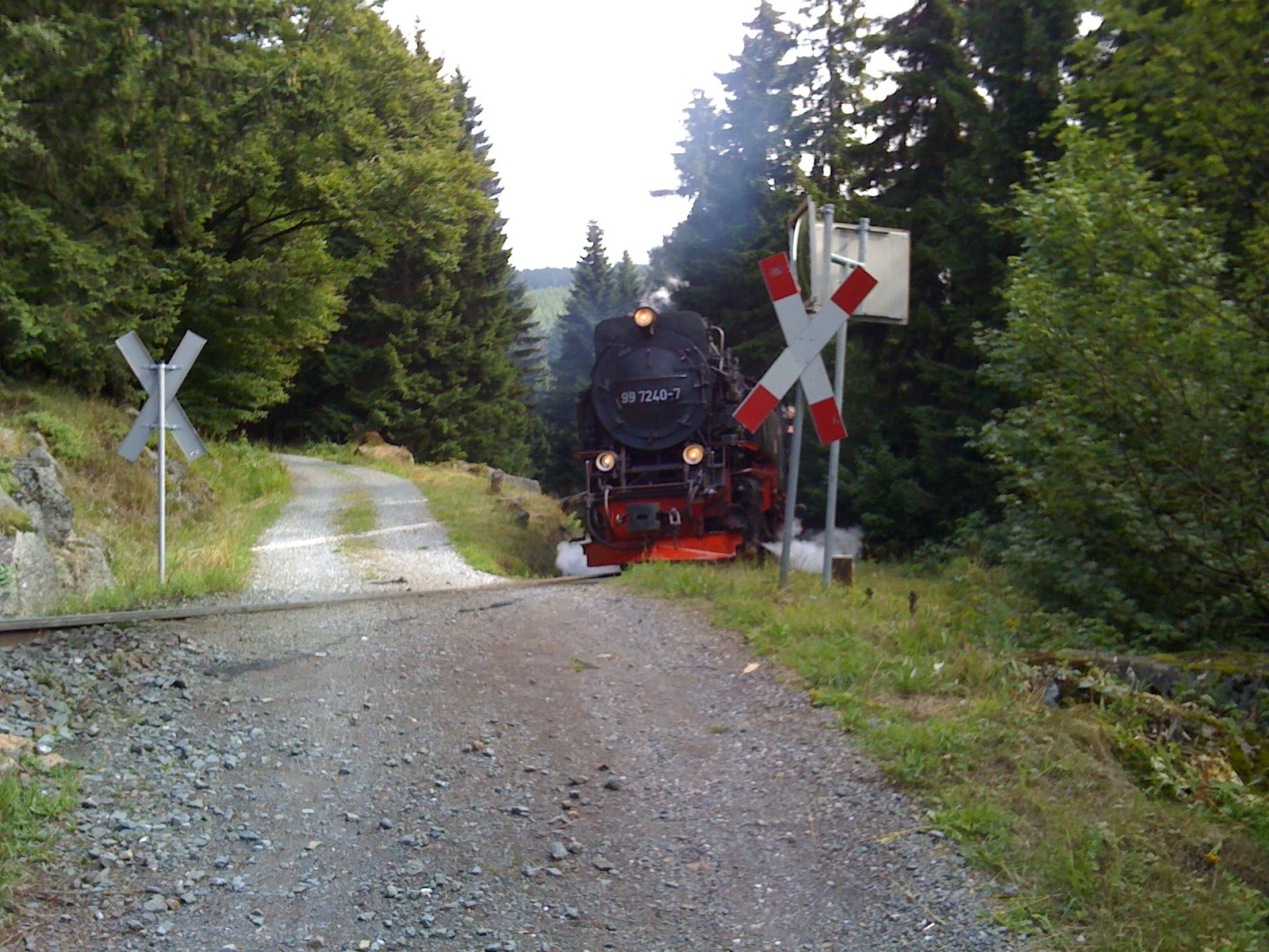 narrow gauge train, public transportation, track, day, motor vehicle, direction, crossroads, transportation, plant, railroad Track, mode of transportation, HD Wallpaper