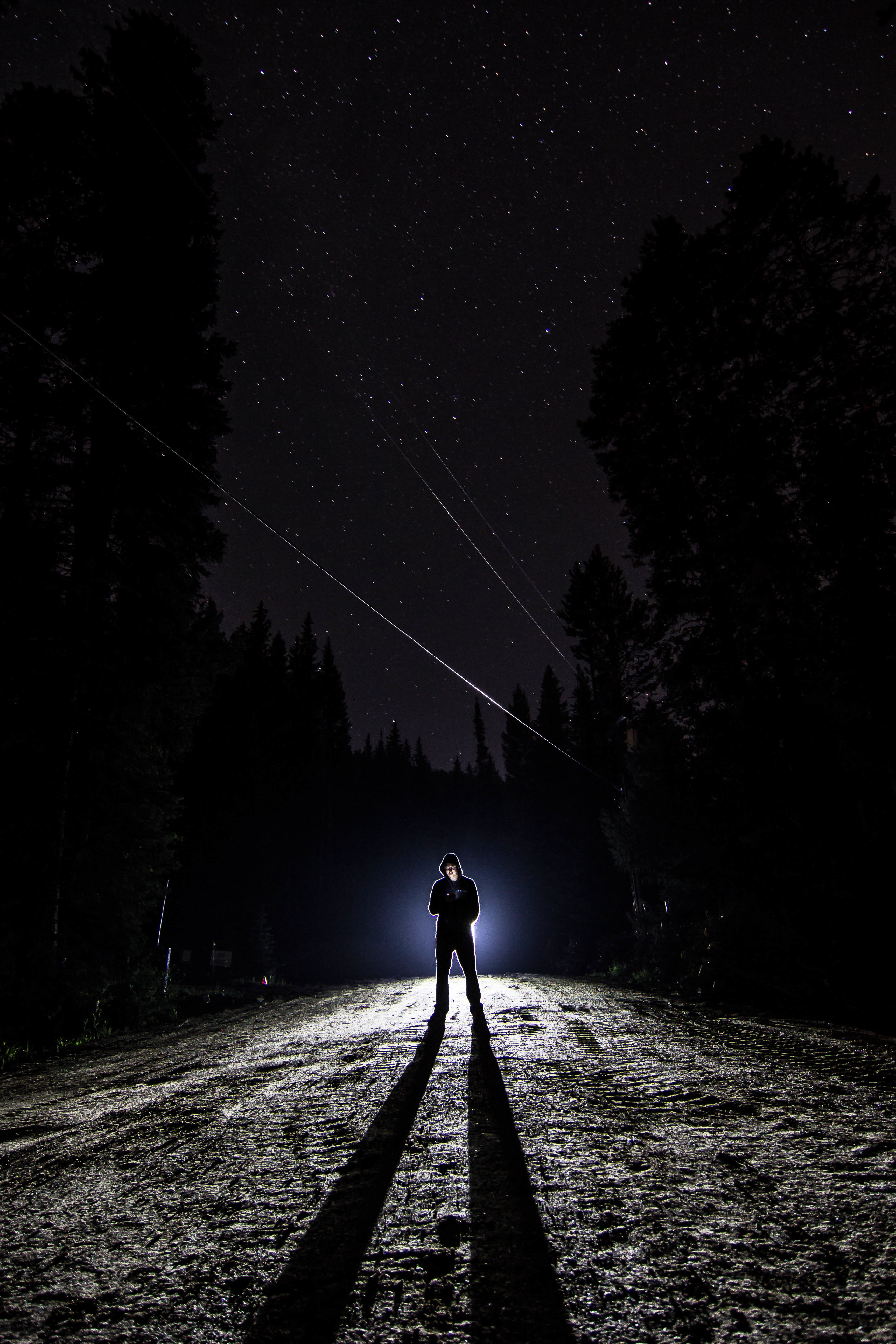 wish, plant, beauty in nature, outdoors, spotlight, street, male, dark, night, tree, constellation, real people, space, sky, one person, land, nighttime, Phone HD Wallpaper