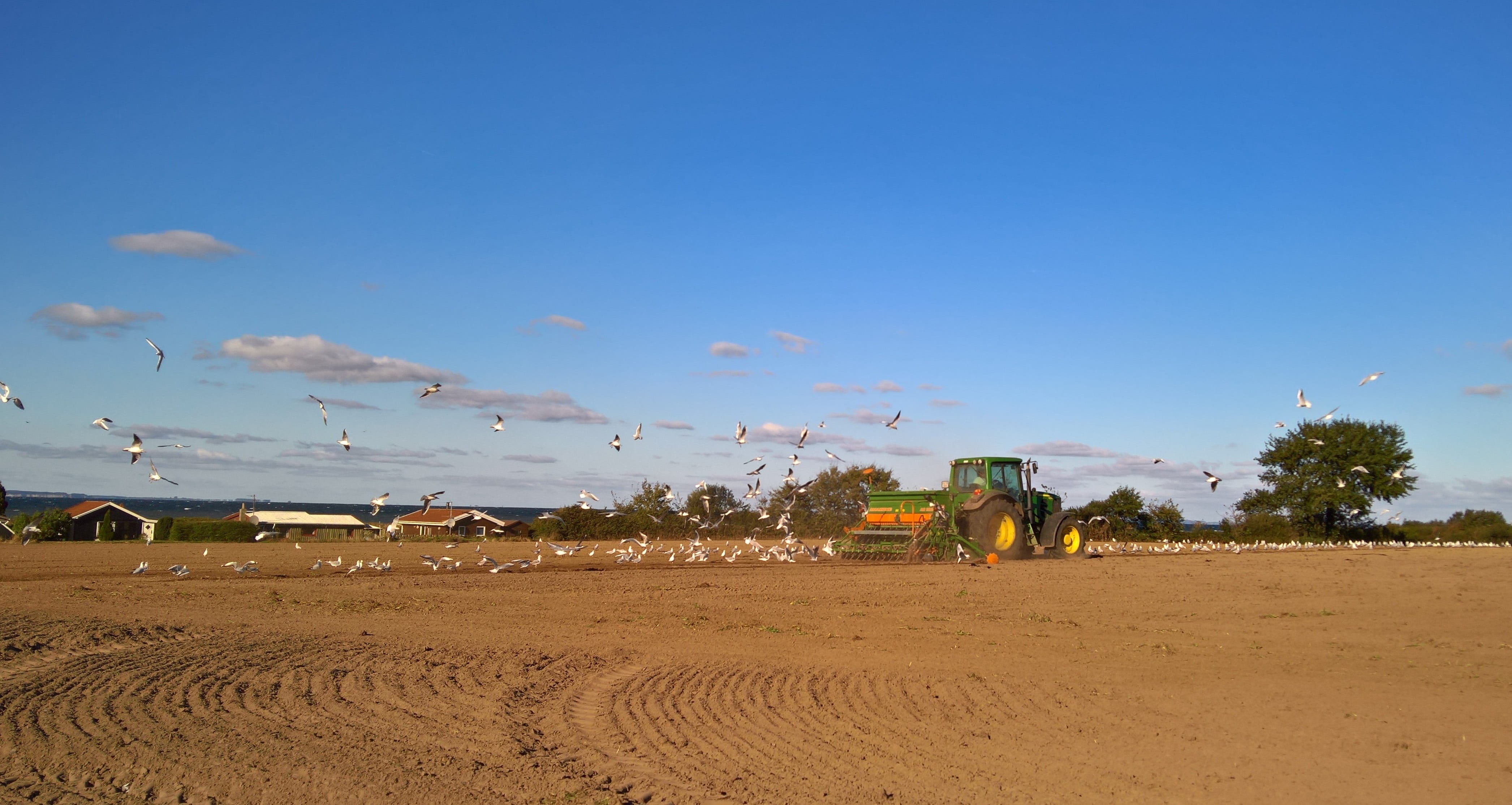 construction machinery, mode of transportation, environment, beach, sand, sky, nice weather, in the background houses, incidental people, day, occupation, HD Wallpaper