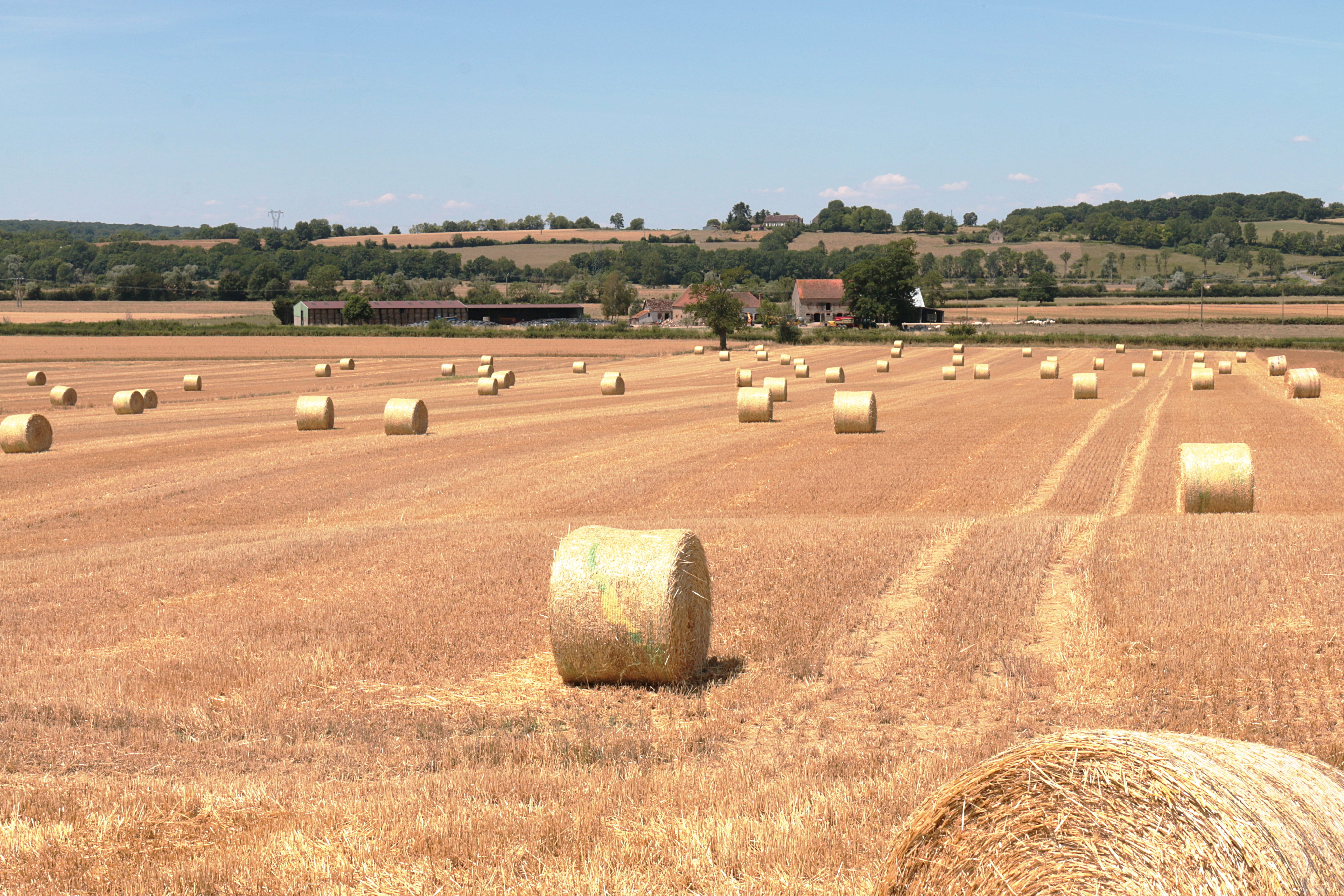 bale, Hay, tranquility, no people, day, rural scene, farm, land, sky, outdoors, scenics - nature, Field, tranquil scene, agriculture, harvesting, rural, HD Wallpaper
