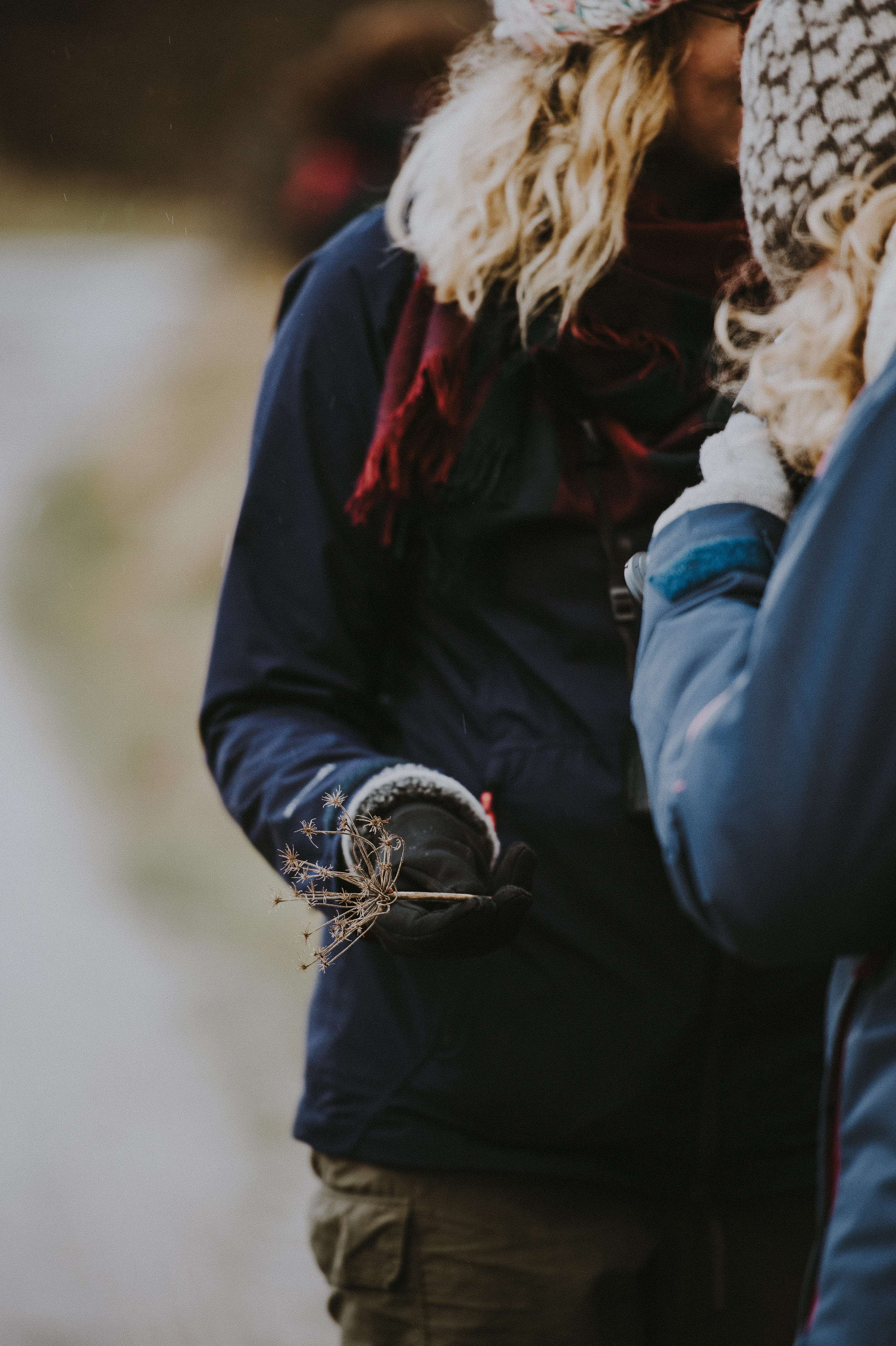 flower, leisure activity, person, hairstyle, foraging, woman, day, midsection, white, warm clothing, winter, holding, glove, lifestyles, females, rear view, Phone HD Wallpaper