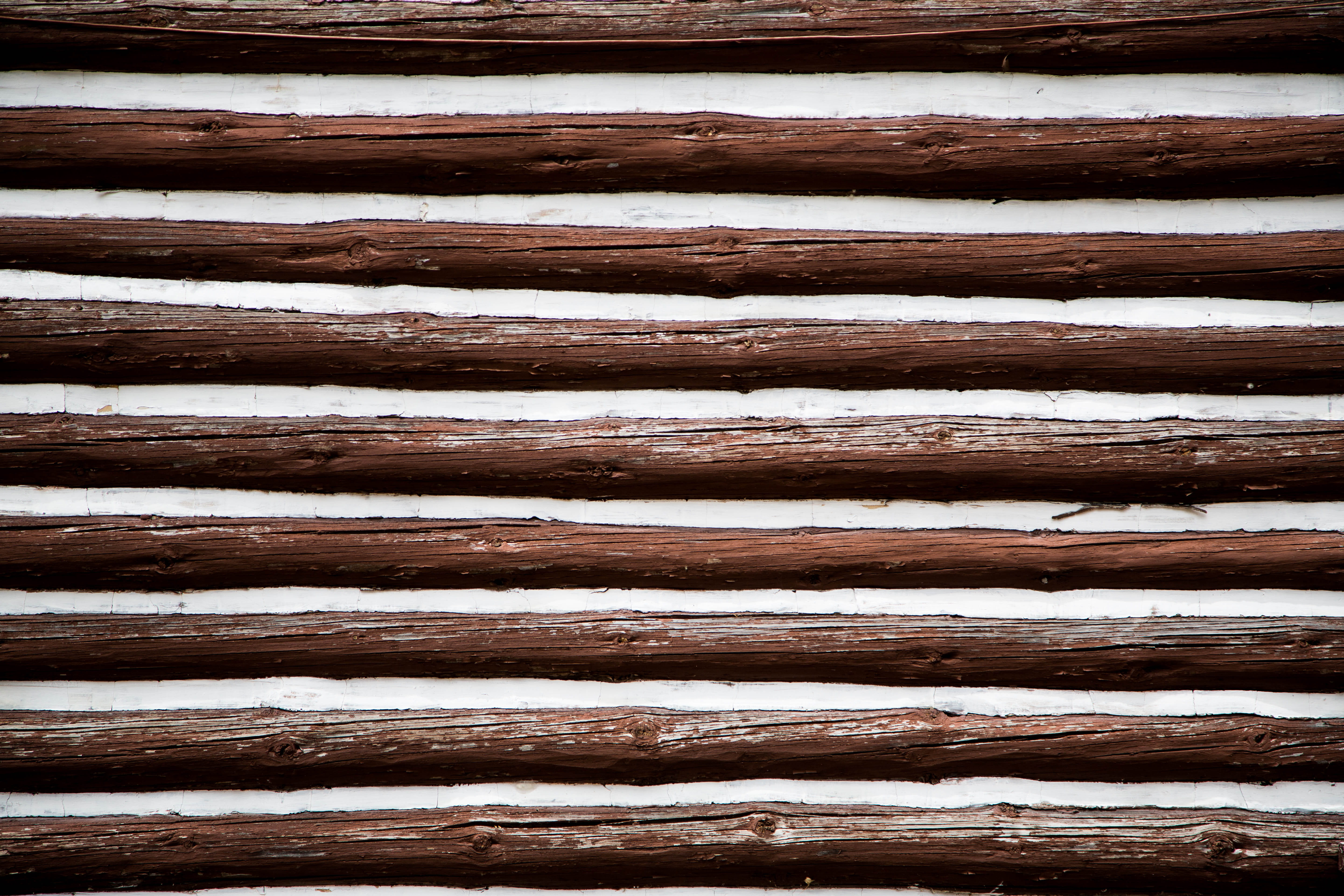 wood - material, wildlife, slate, bench, fox, close-up, backgrounds, built structure, repetition, logs, lumber, pattern, log cabin, indoors, wood texture, HD Wallpaper
