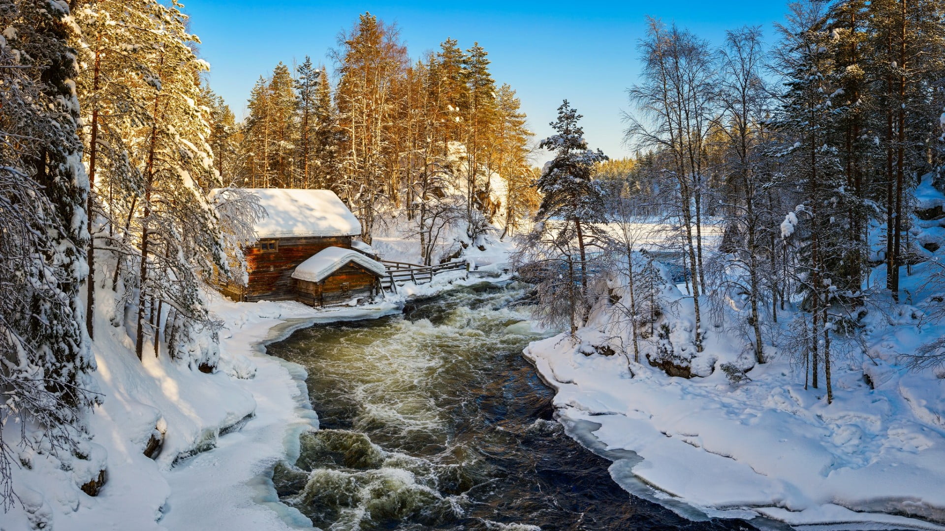 tranquility, tree, finland, sky, winter, wilderness, covering, non-urban scene, europe, log cabin, 1080P, kuusamo, no people, forest, pine, land, river, HD Wallpaper