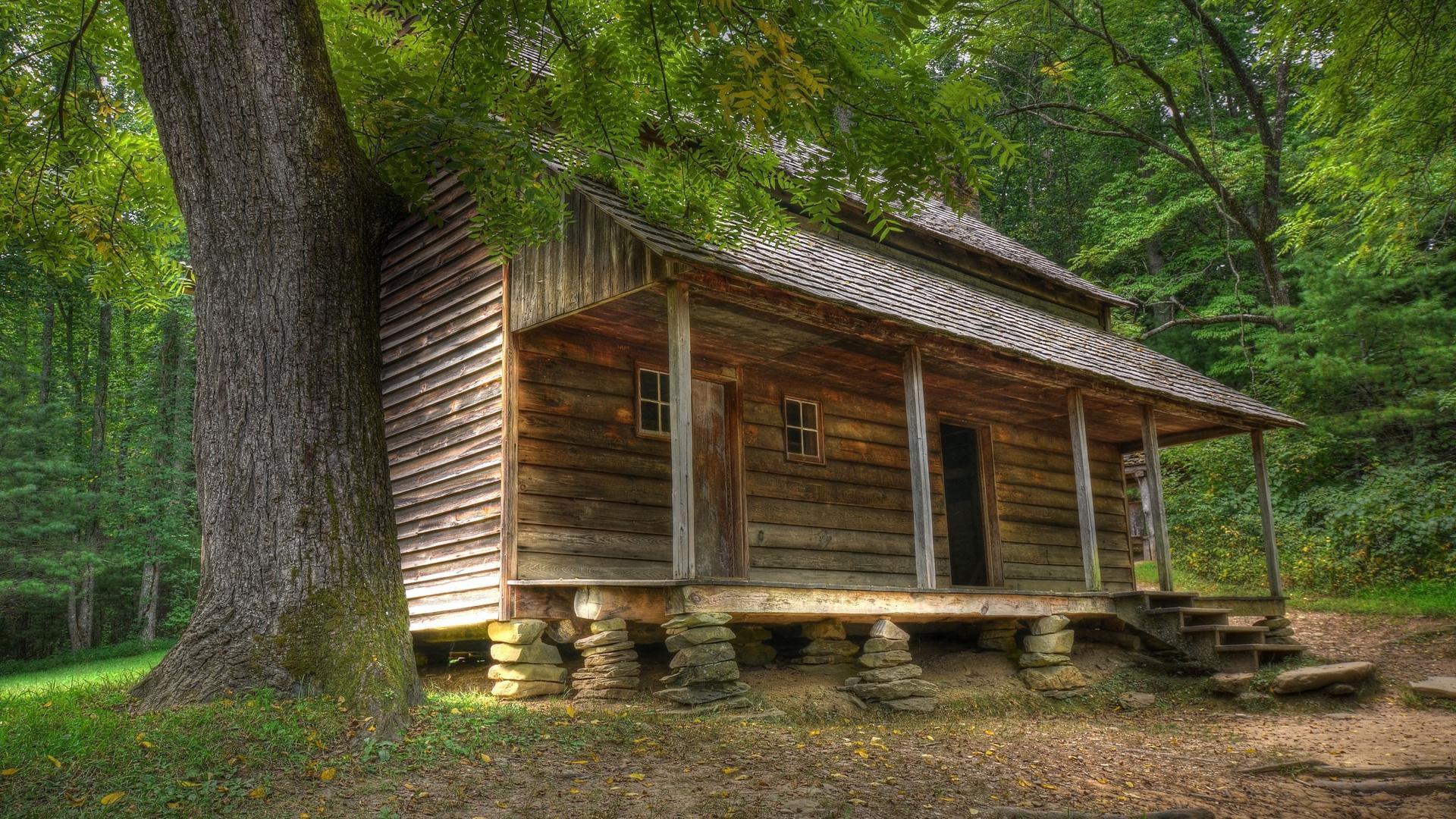 nature, 1920x1080, summer, brown, cabin, woods, deserted, cottage, forest, wooden, tree, 1080P, HD Wallpaper