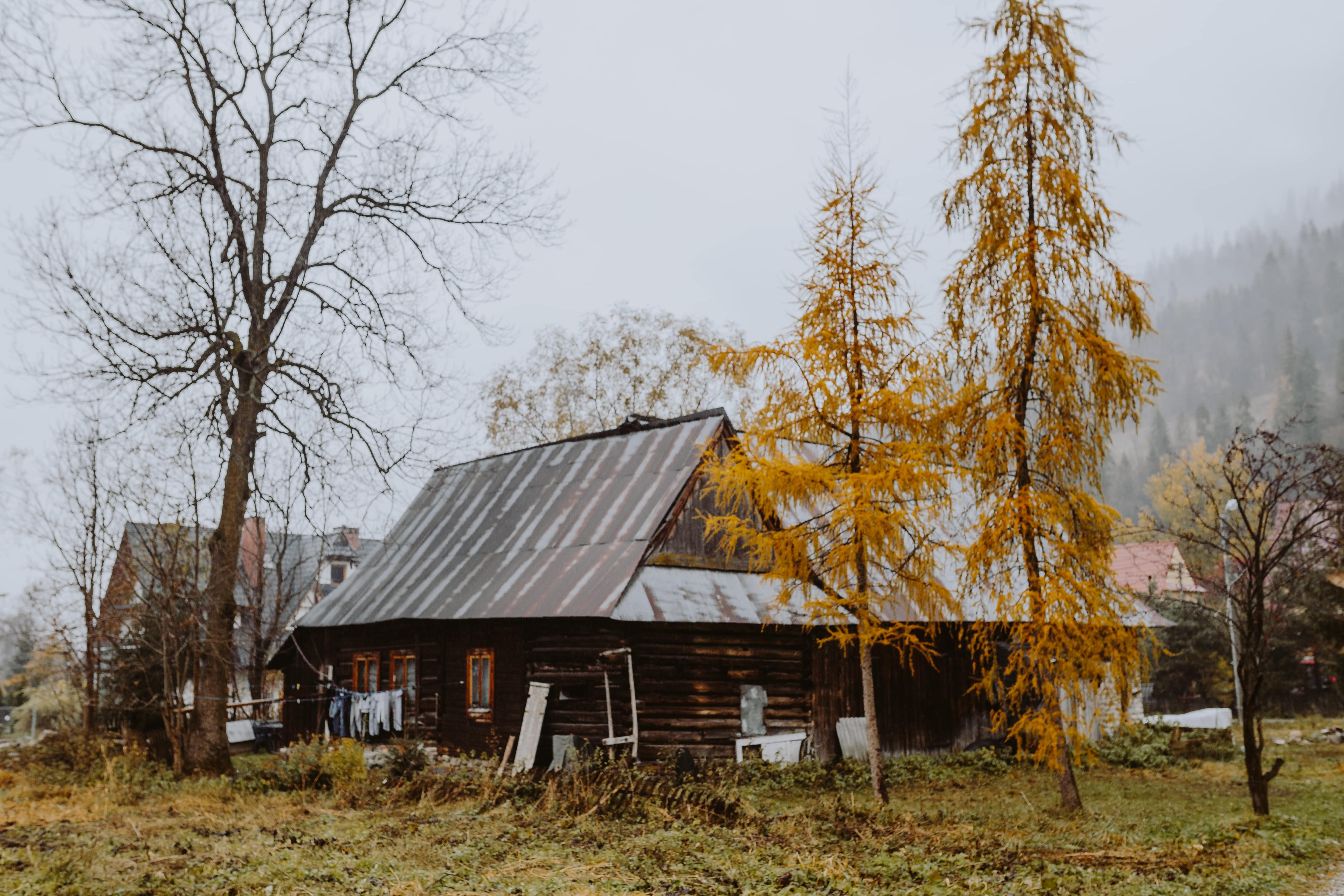 mountains, cottage, forest, cabin, abandoned, bare tree, building exterior, sky, deterioration, outdoors, tree, old, environment, built structure, change, HD Wallpaper