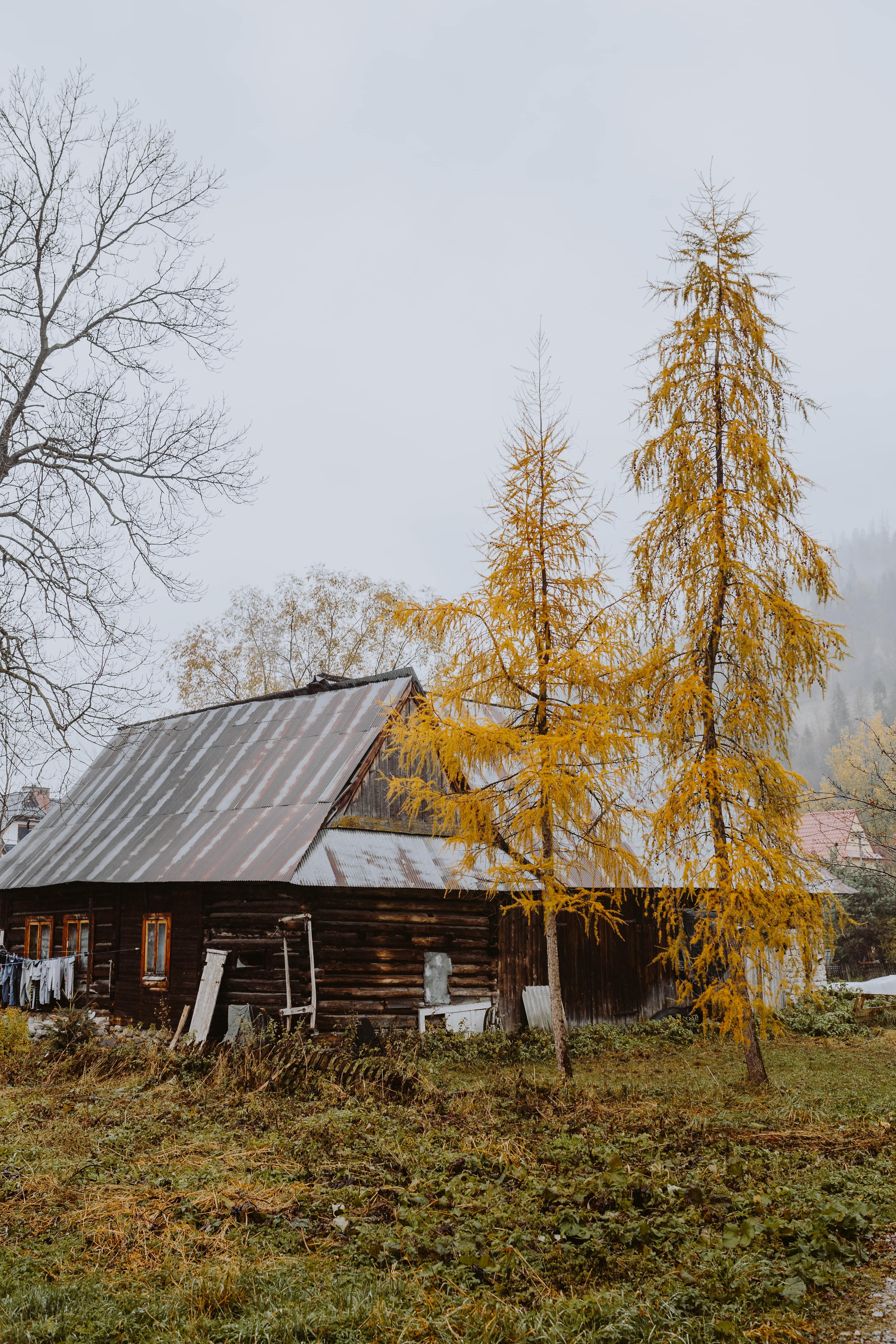 fall, houses, change, 5K, plant, landscape, wooden, sky, environment, building exterior, cabin, building, old, day, old house, field, built structure, Phone HD Wallpaper