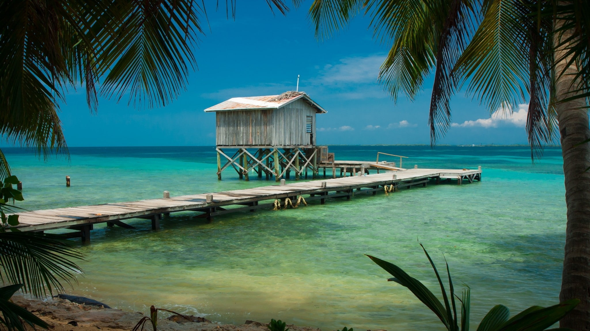 sea, Barcelona, 1080P, water, tropical, dock, palm trees, cabin, turquoise, Belize, nature, landscape, beach, wooden surface, HD Wallpaper