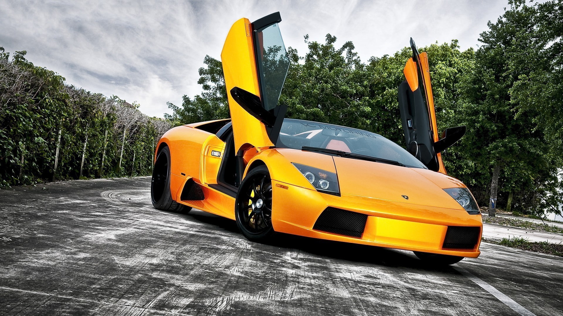 yellow, stationary, sport, plant, mode of transportation, sky, taxi, 1080P, car, dark, nature, Lamborghini, parking, transportation, no people, day, land vehicle, HD Wallpaper