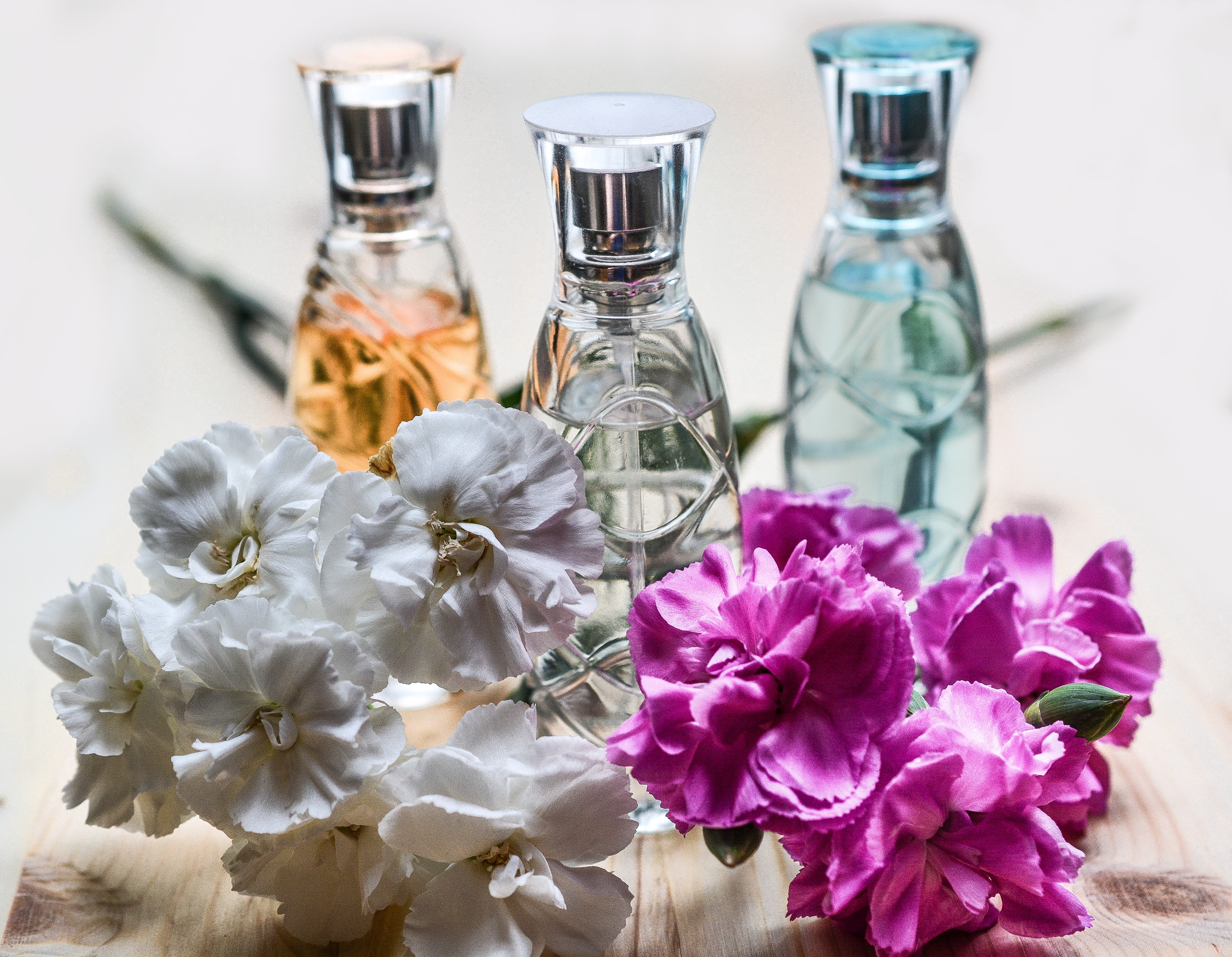 perfume, aromatic, plant, indoors, nature, food and drink, white, flowers, style, wellbeing, flowering plant, fashion, transparent, fragrant, romantic, HD Wallpaper