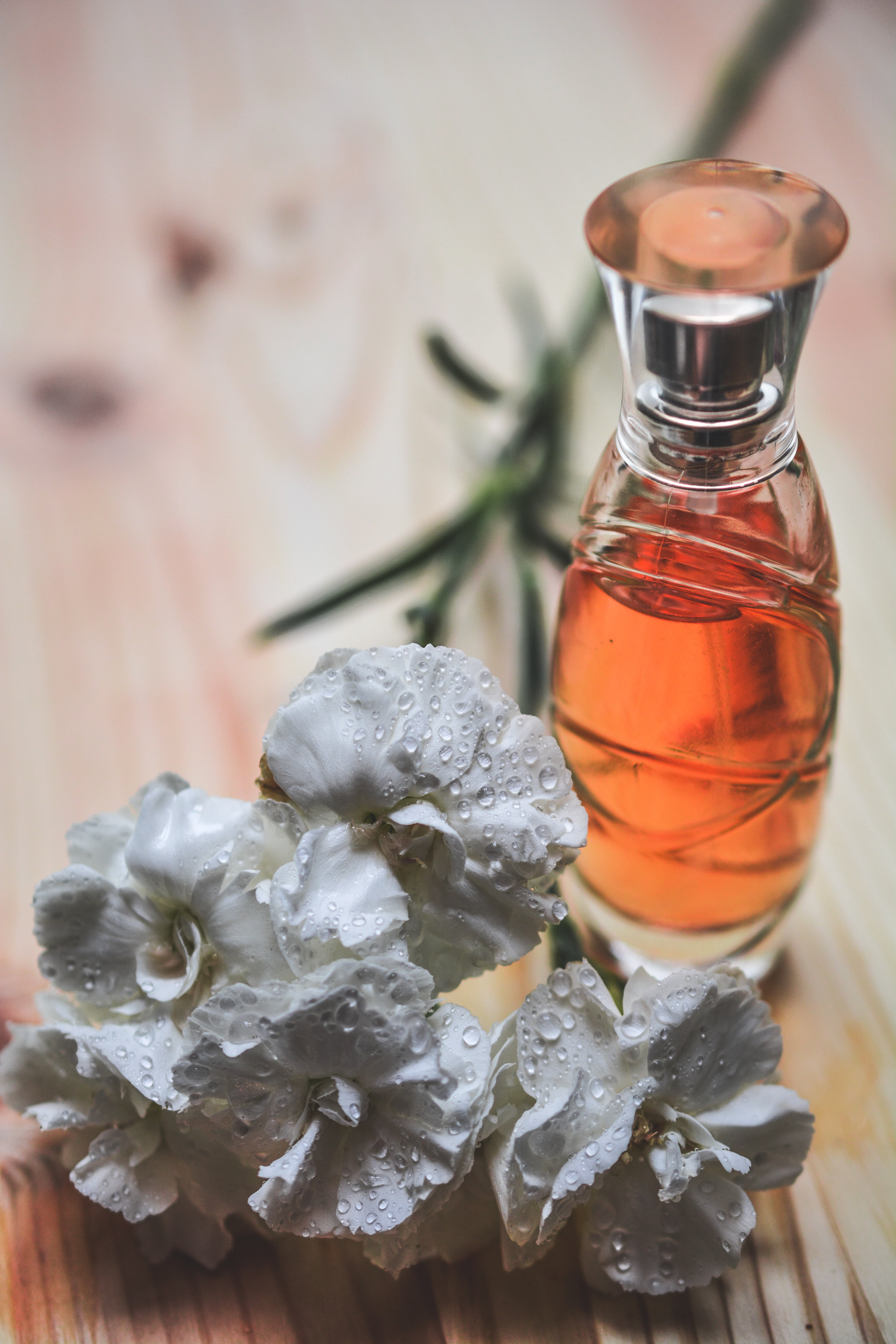 still life, glamour, spray, aroma, smell, 5K, scent, clear, romance, food and drink, wellbeing, perfume bottle, flower, style, glass - material, toilette, Phone HD Wallpaper