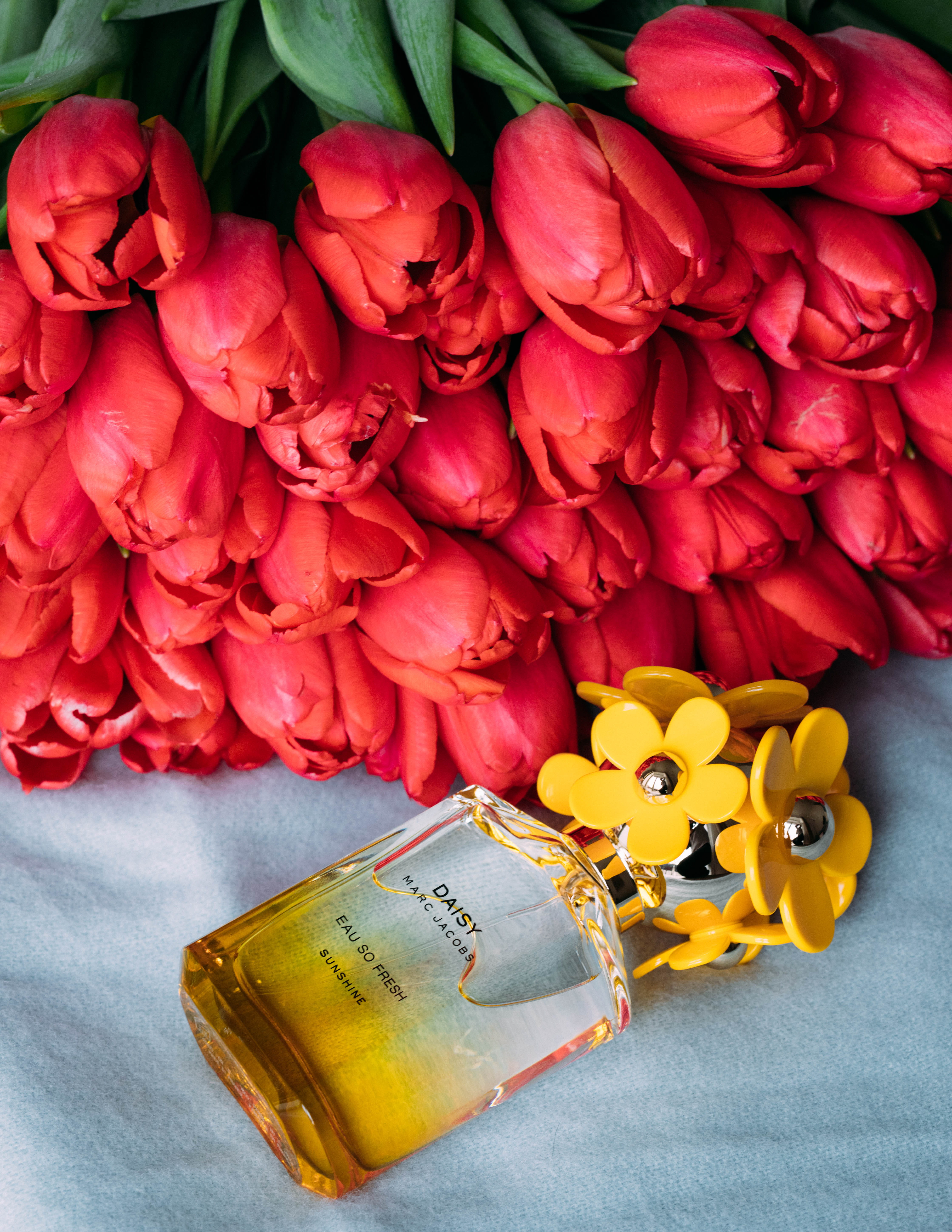 freshness, flower head, fragance, 5K, plant, fragrant, flower arrangement, blossom, perfume bottle, high angle view, bottle, tulips, scent, blooming, perfume, Phone HD Wallpaper
