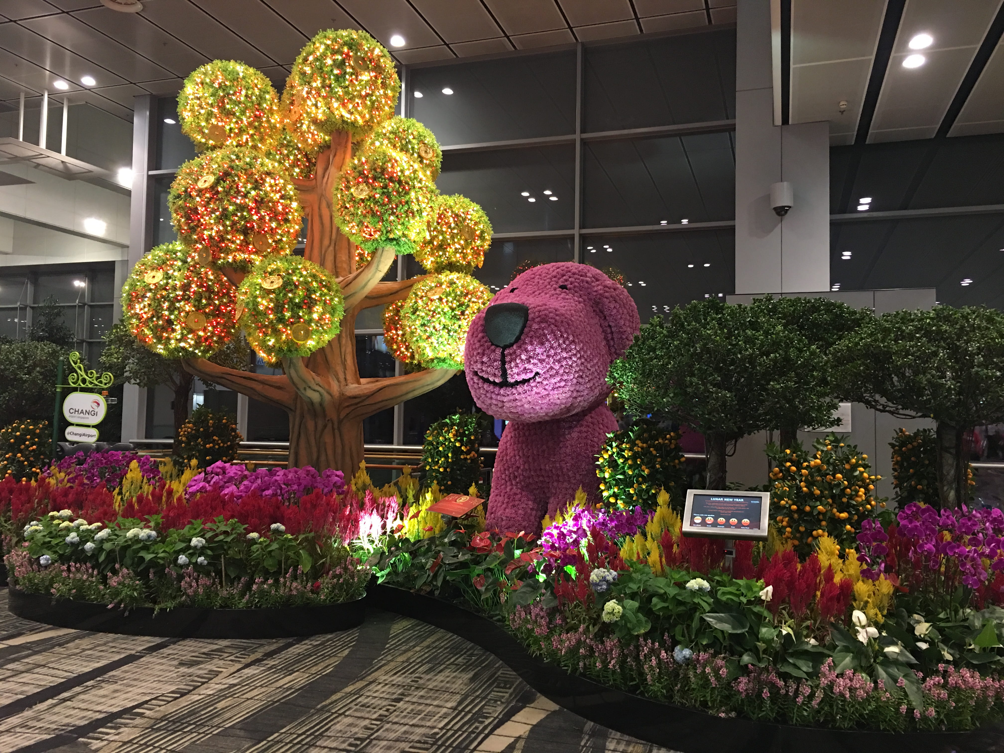 business, purple, flower garden, lucky tree, no people, new year decoration, flower head, bouquet, arrangement, architecture, singapore, vulnerability, HD Wallpaper