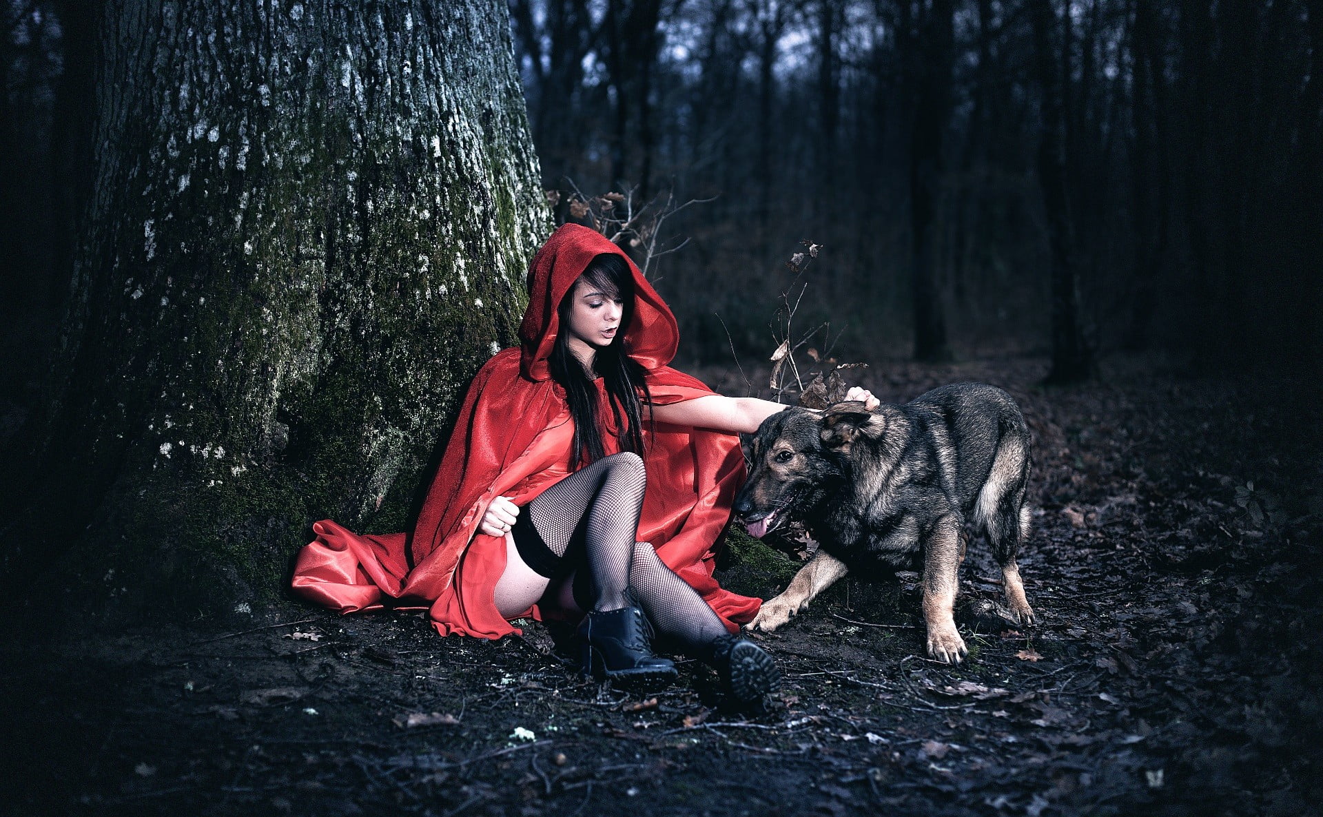 nature, tree trunk, young women, dog, full length, females, one animal, forest, woodland, adult, beauty, Little Red Riding Hood, one person, hair, beautiful woman, HD Wallpaper