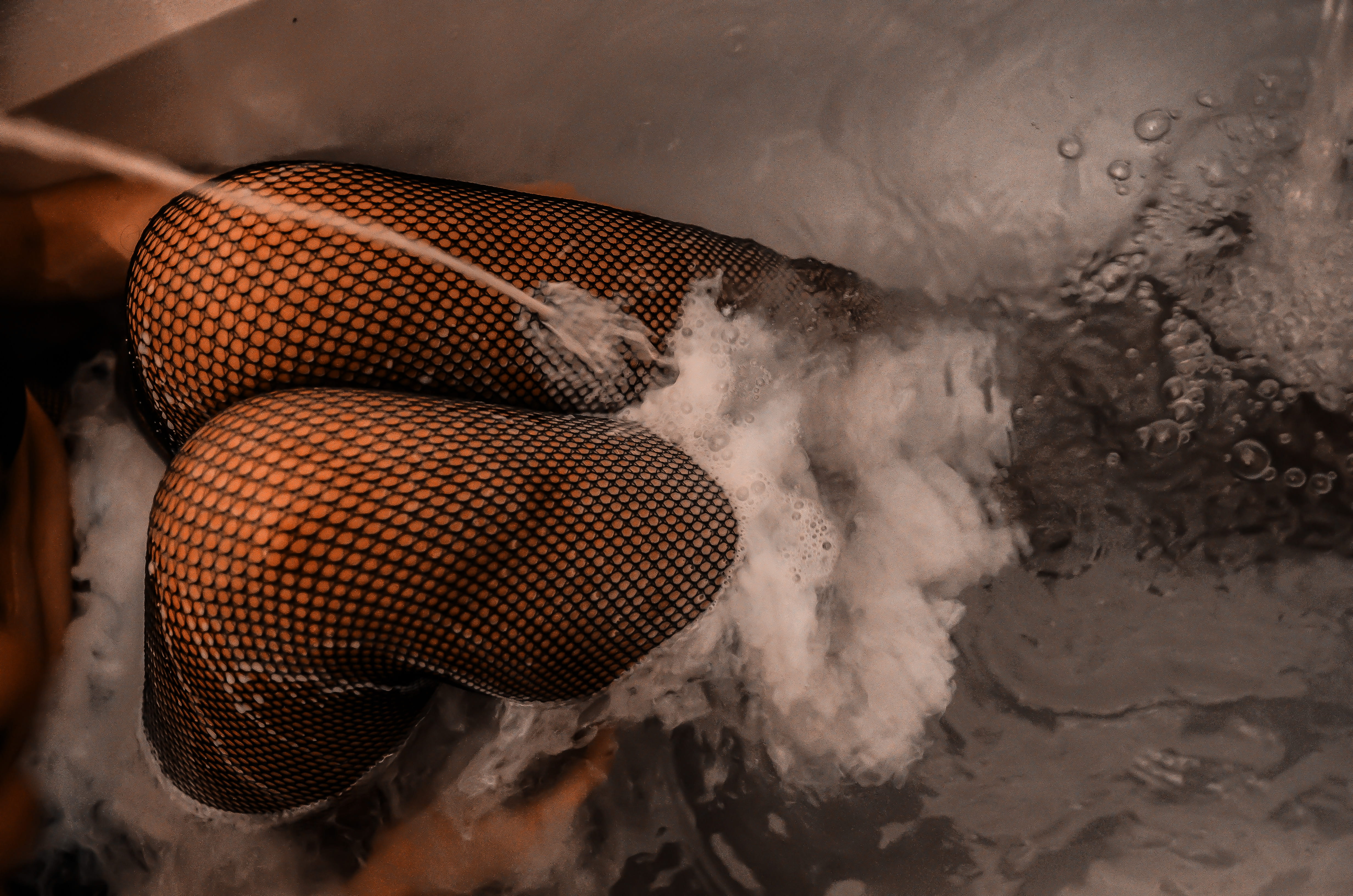 animal body part, indoors, wearing, animal themes, close-up, sea, no people, stocking, knee, sport, animals in the wild, leg, underwater, black, fishnet, HD Wallpaper