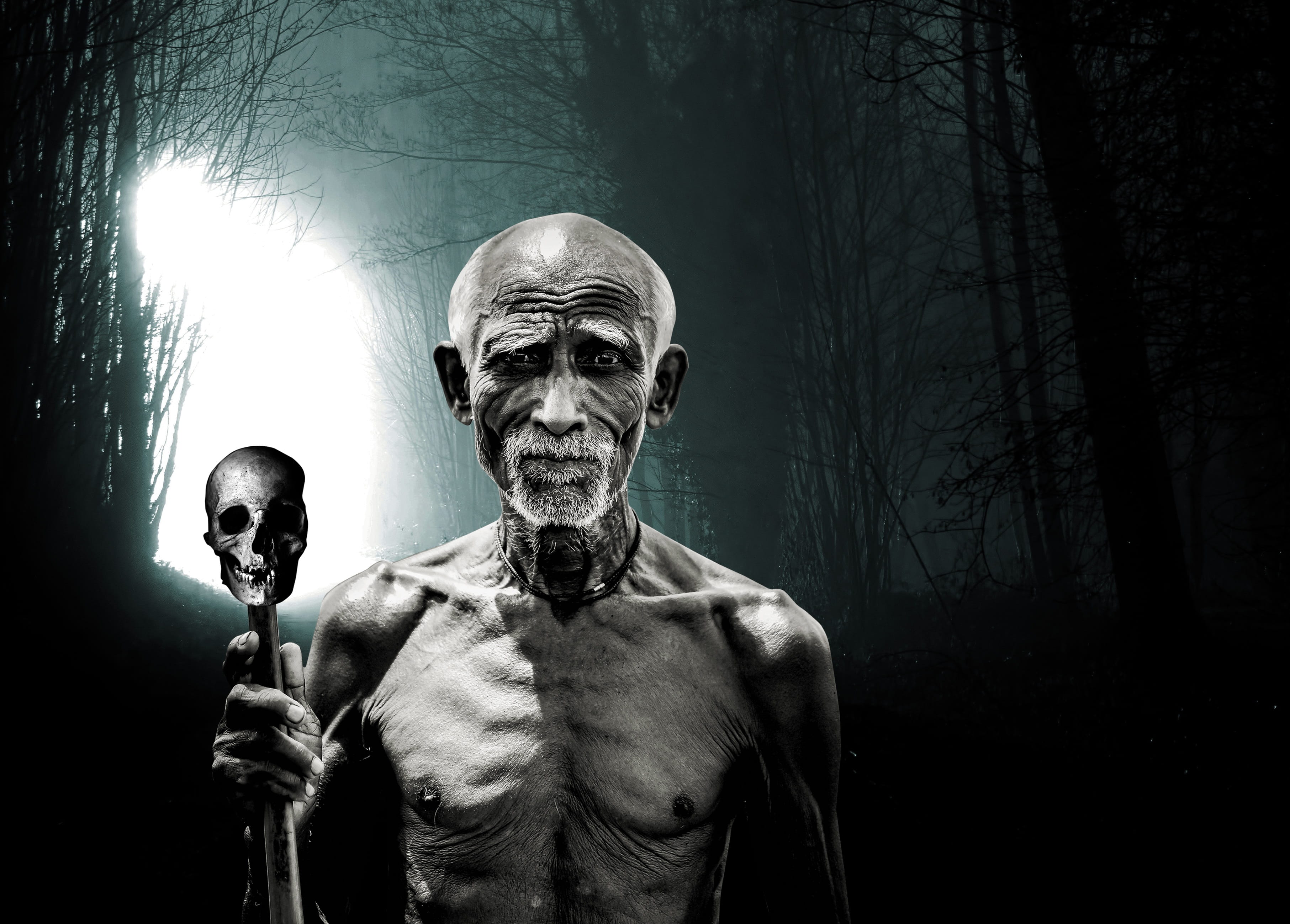 standing, looking at camera, hell, real people, forest, 2K, dark, portrait, men, one person, black, the old man, front view, scepter, meet, plant, adult, HD Wallpaper