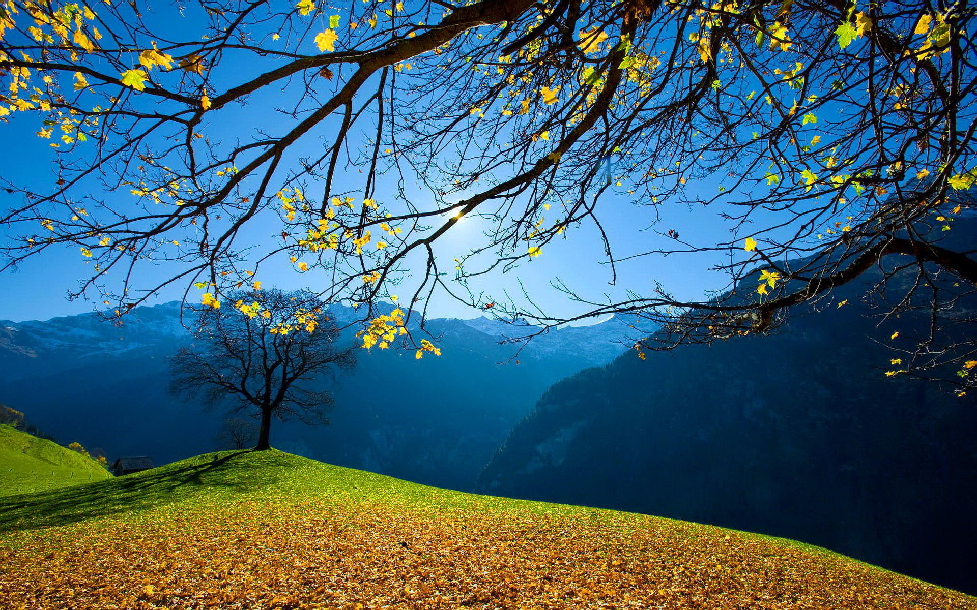 Mountains, Autumn, 1080P, Sun, Blue, Sky, Trees, Foliage, HD Wallpaper