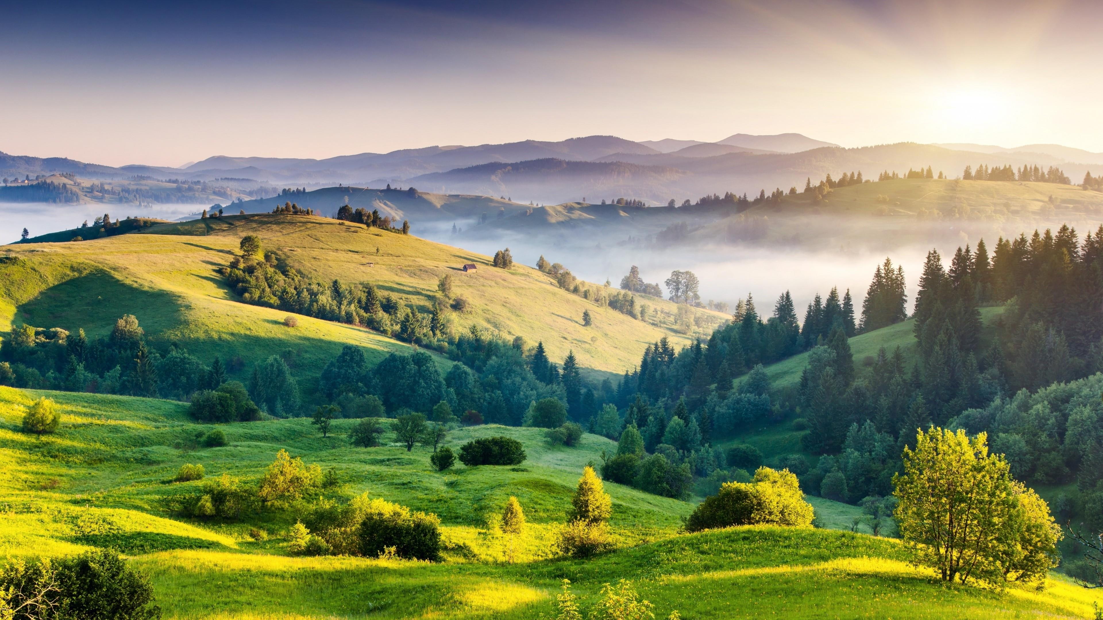 4K, fog, sunrise, green, nature, foliage, trees, village, landscape, sun, hills, HD Wallpaper