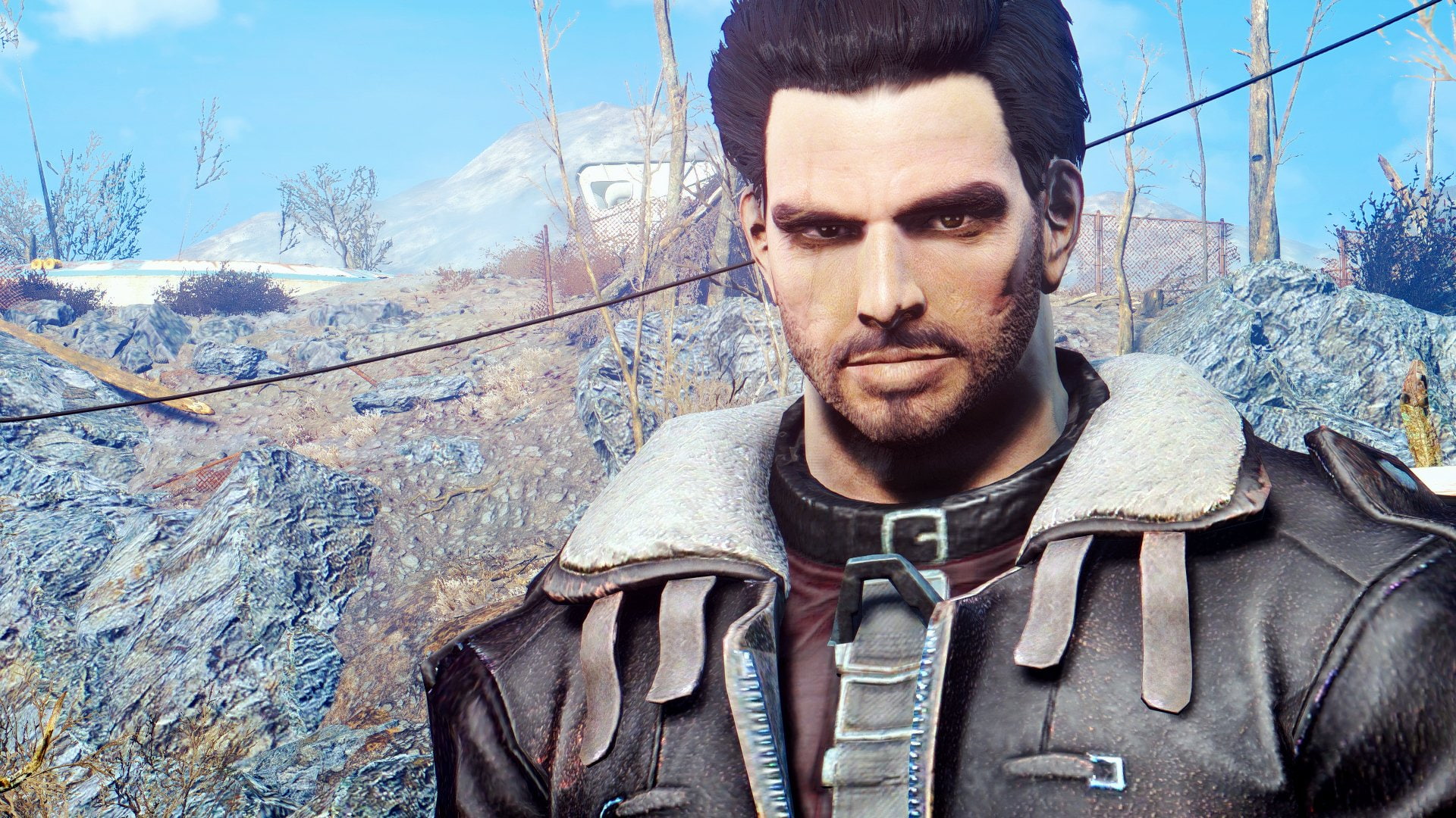 1080P, Fallout, Fallout 4, Paladin Danse, HD Wallpaper
